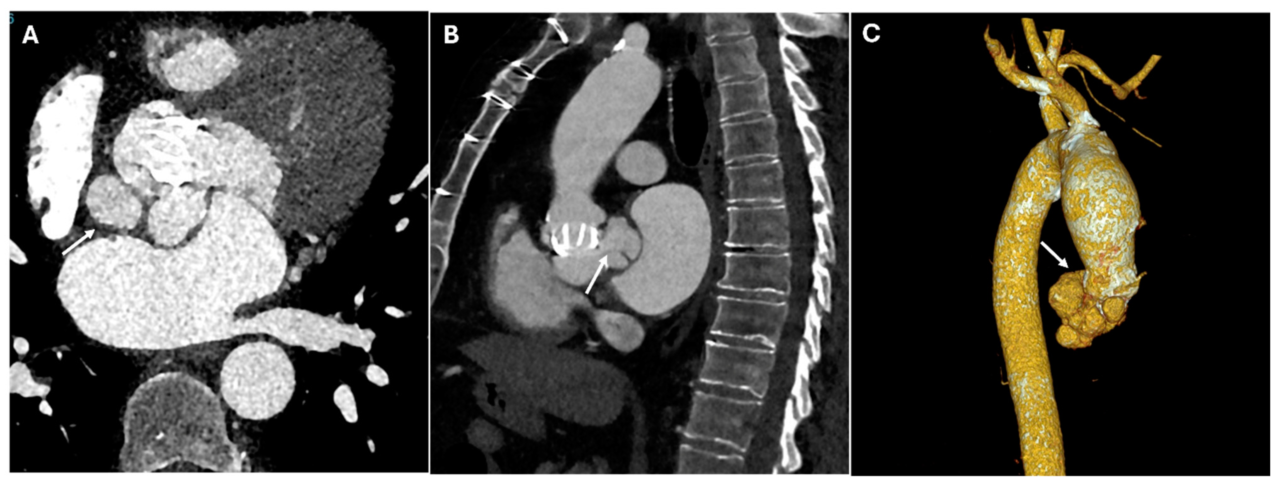 Jimaging 11 00119 g007