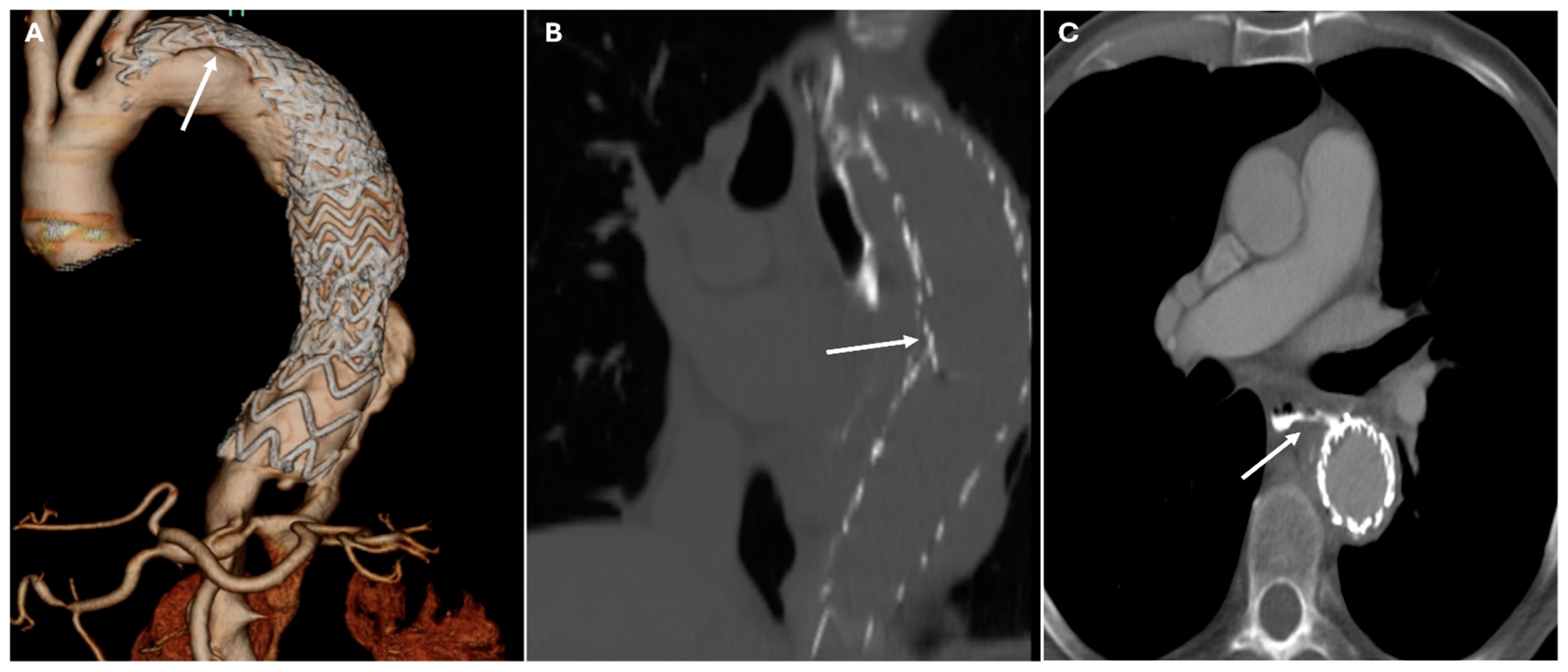 Jimaging 11 00119 g010