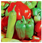 Jimaging 11 00121 i064