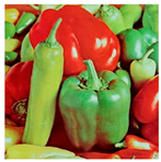 Jimaging 11 00121 i067