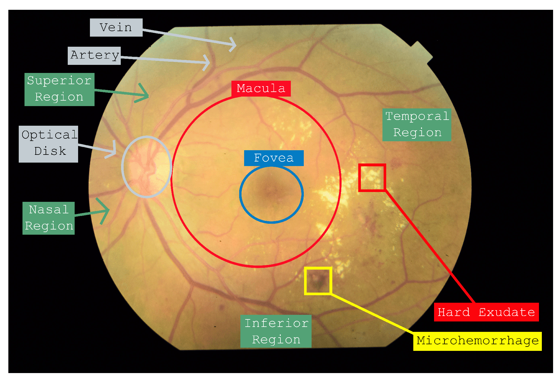 Jimaging 11 00123 g001