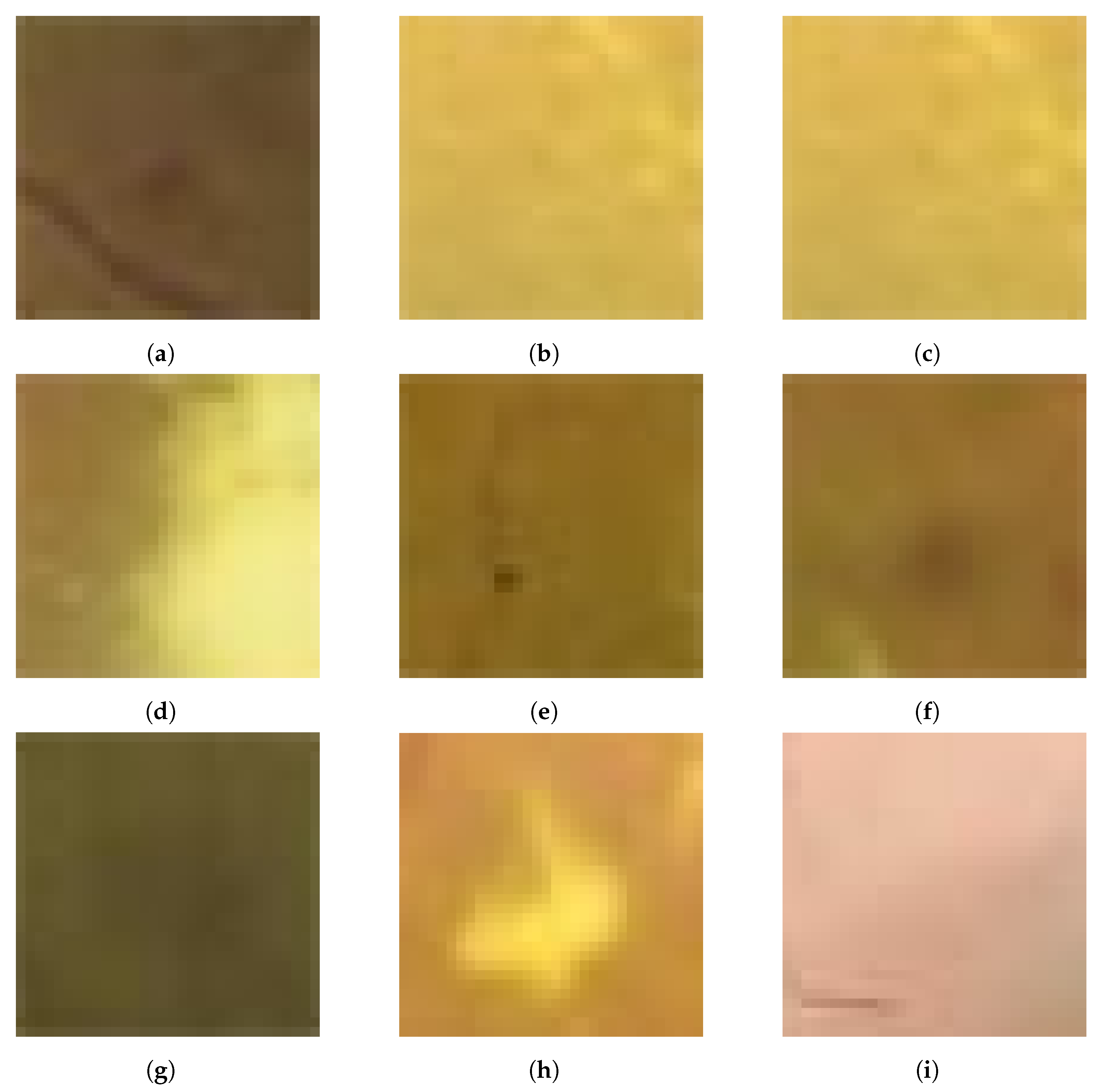 Jimaging 11 00123 g009