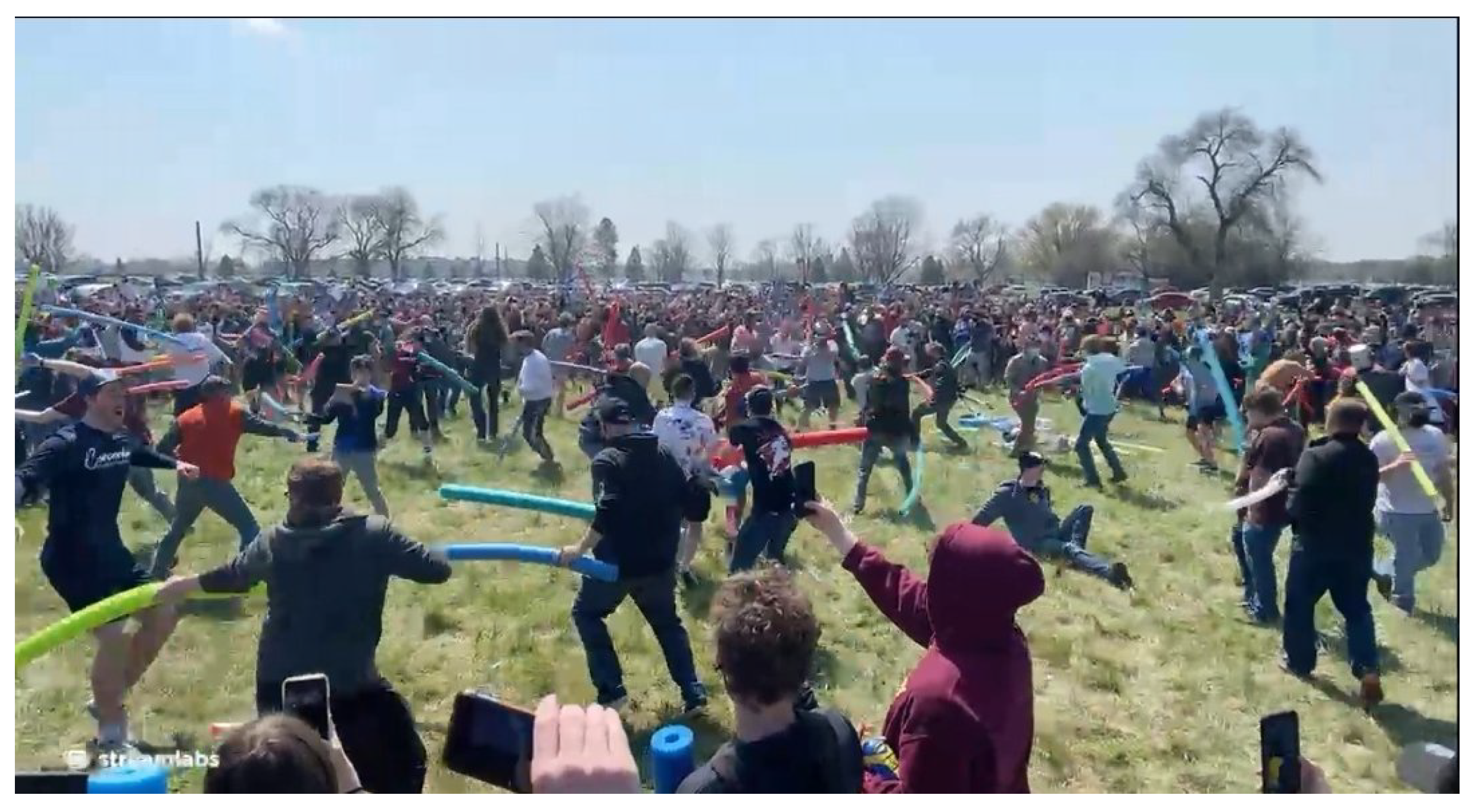 Jimaging 11 00132 g005