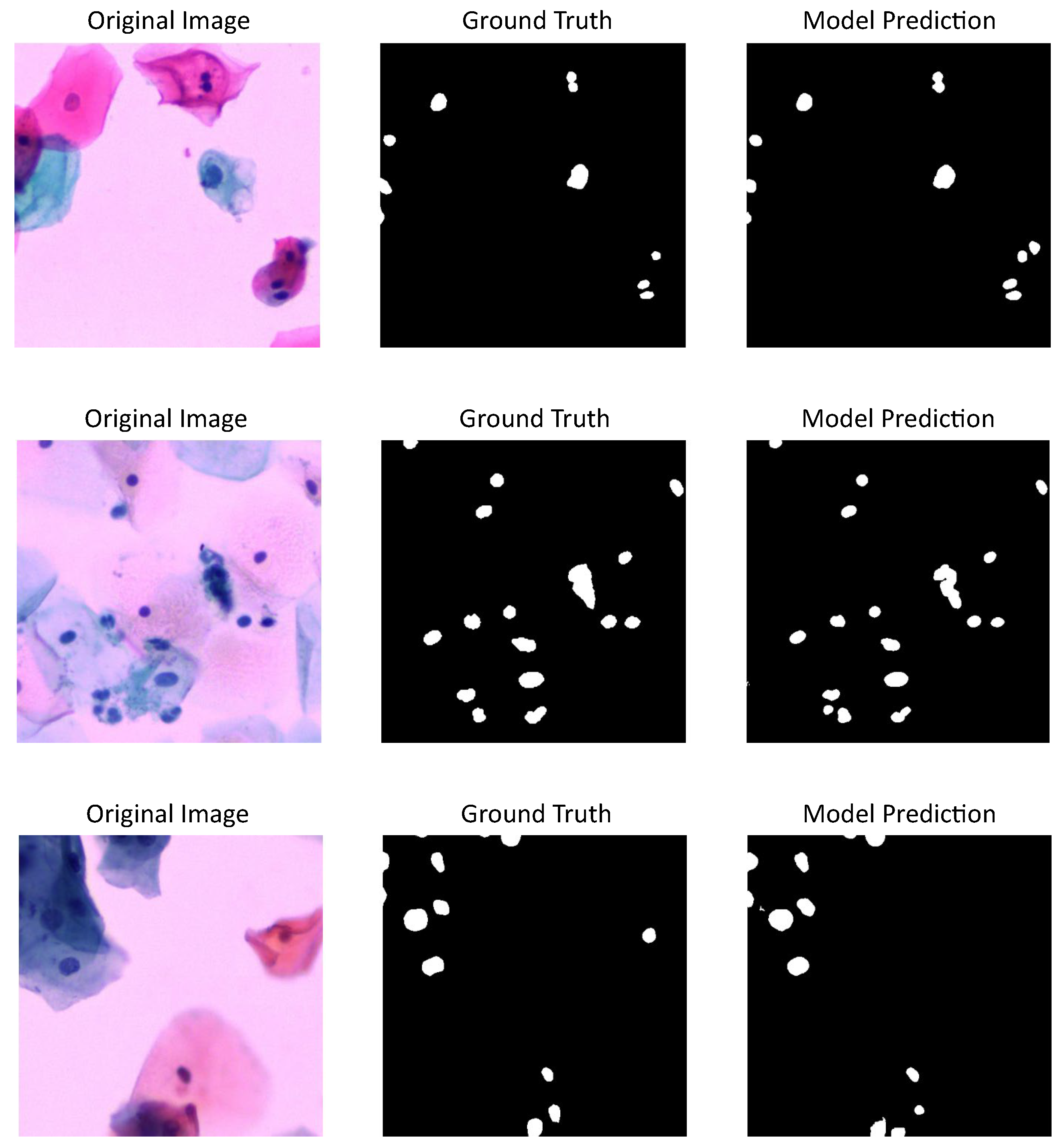 Jimaging 11 00137 g004