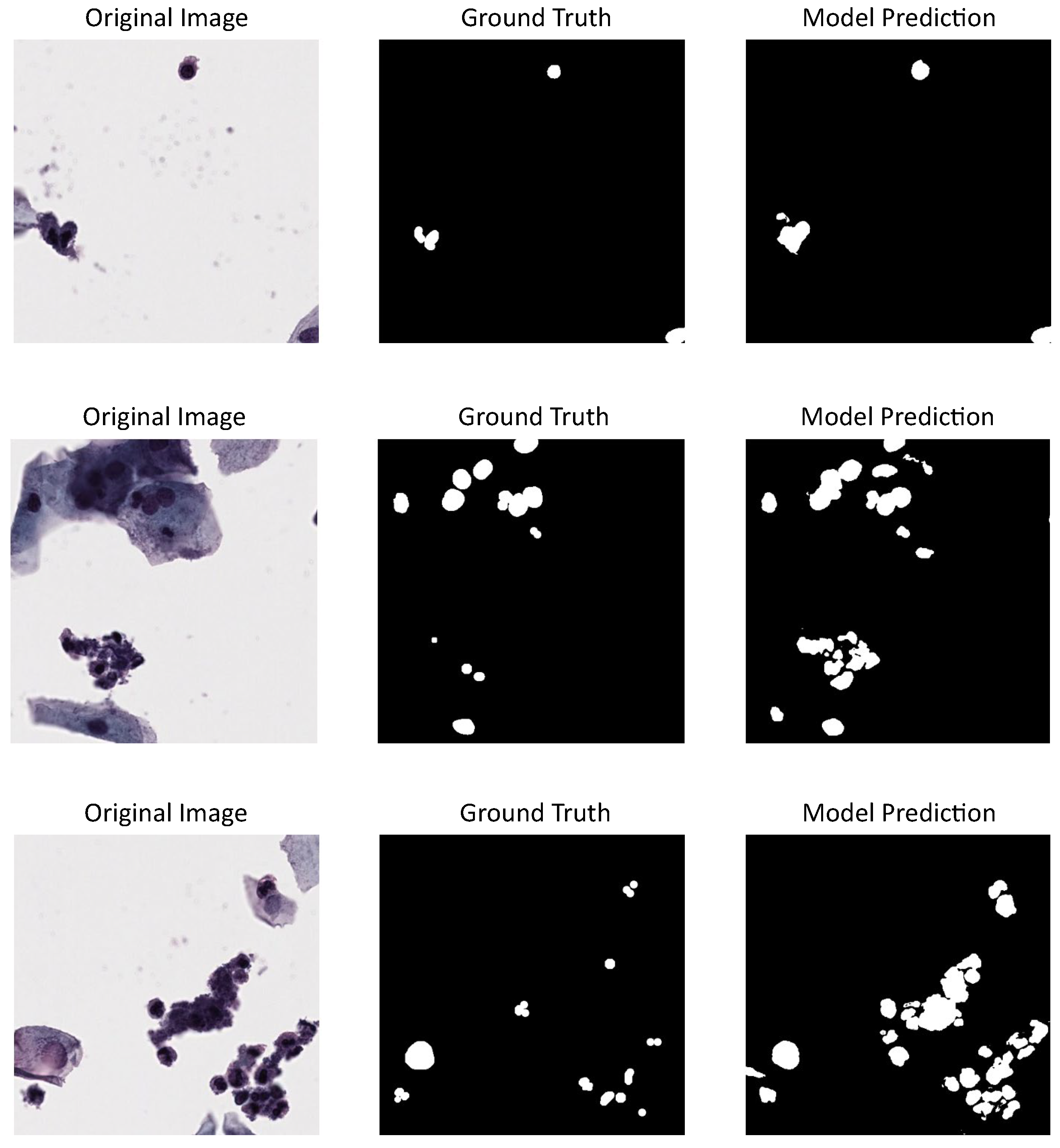 Jimaging 11 00137 g005