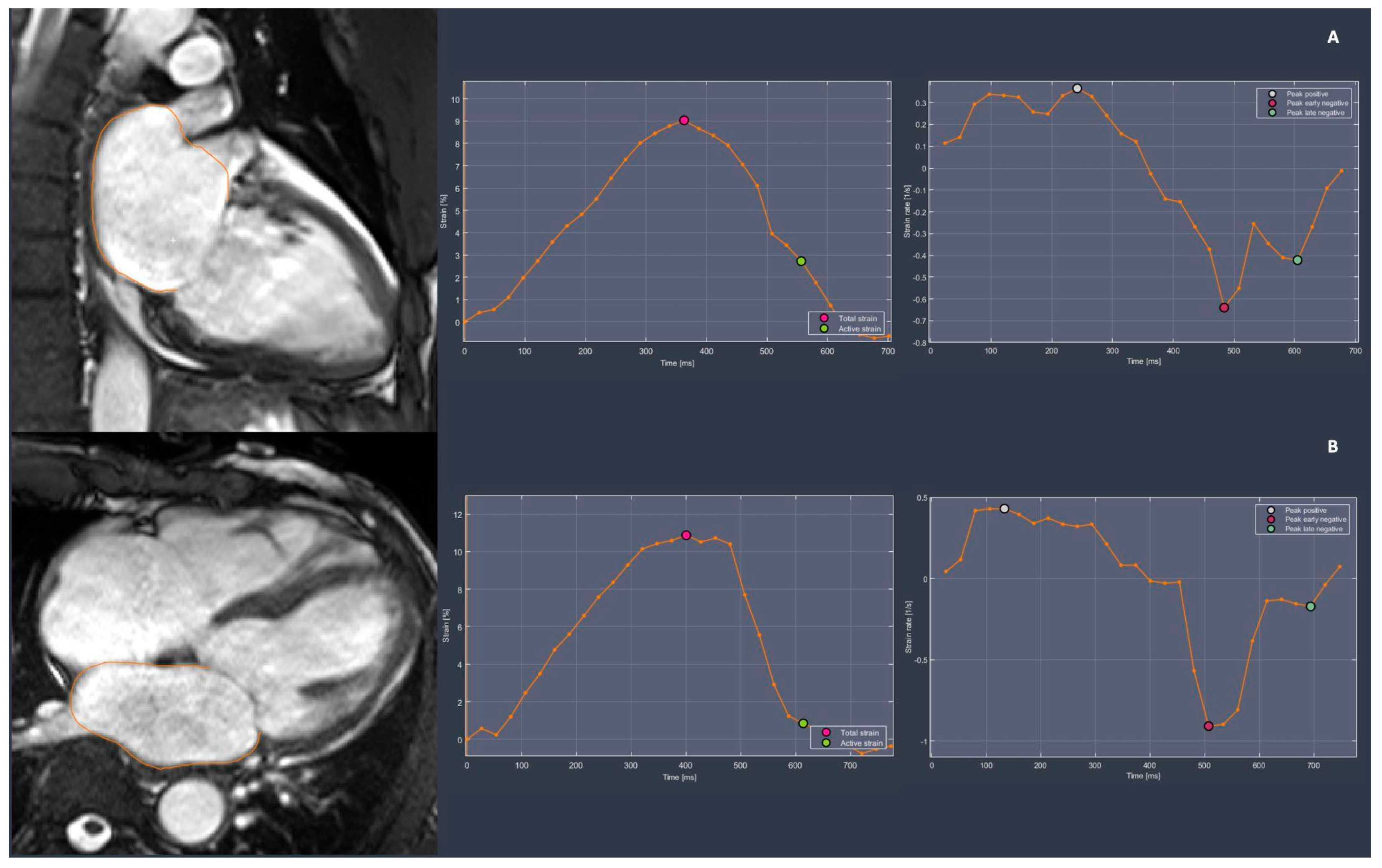 Jimaging 11 00143 g002 Jimaging 11 00143 g002