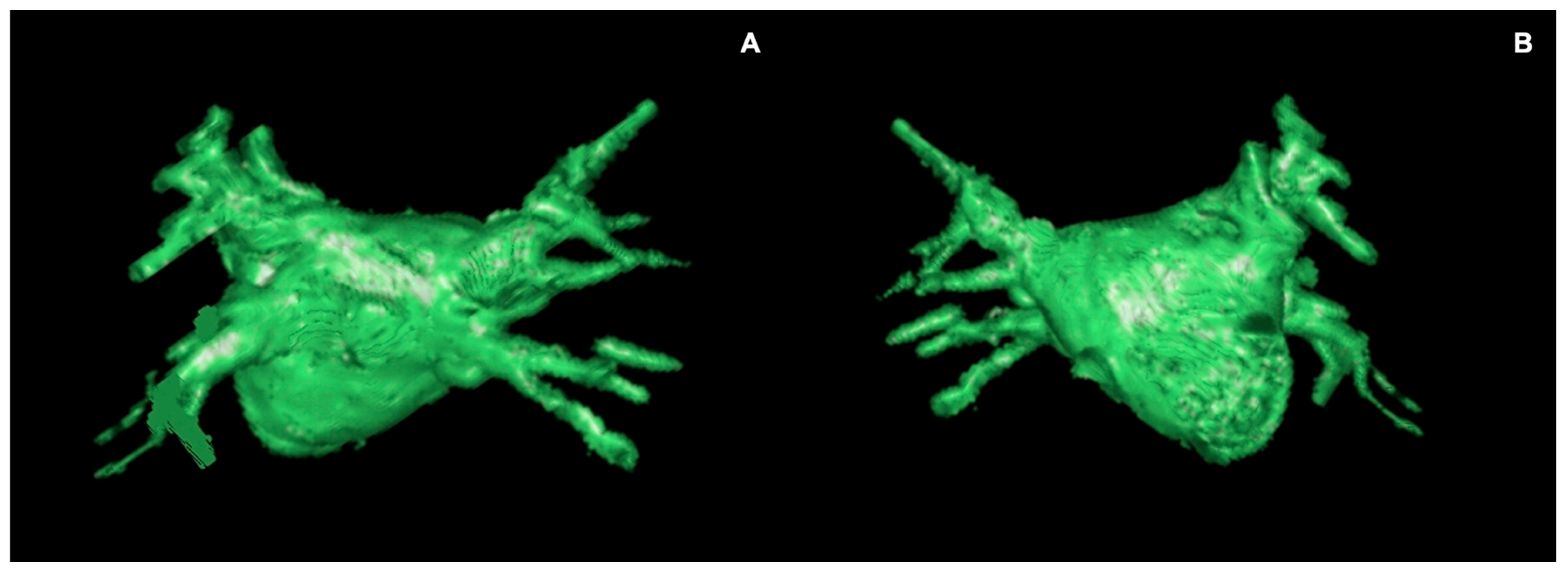 Jimaging 11 00143 g006 Jimaging 11 00143 g006