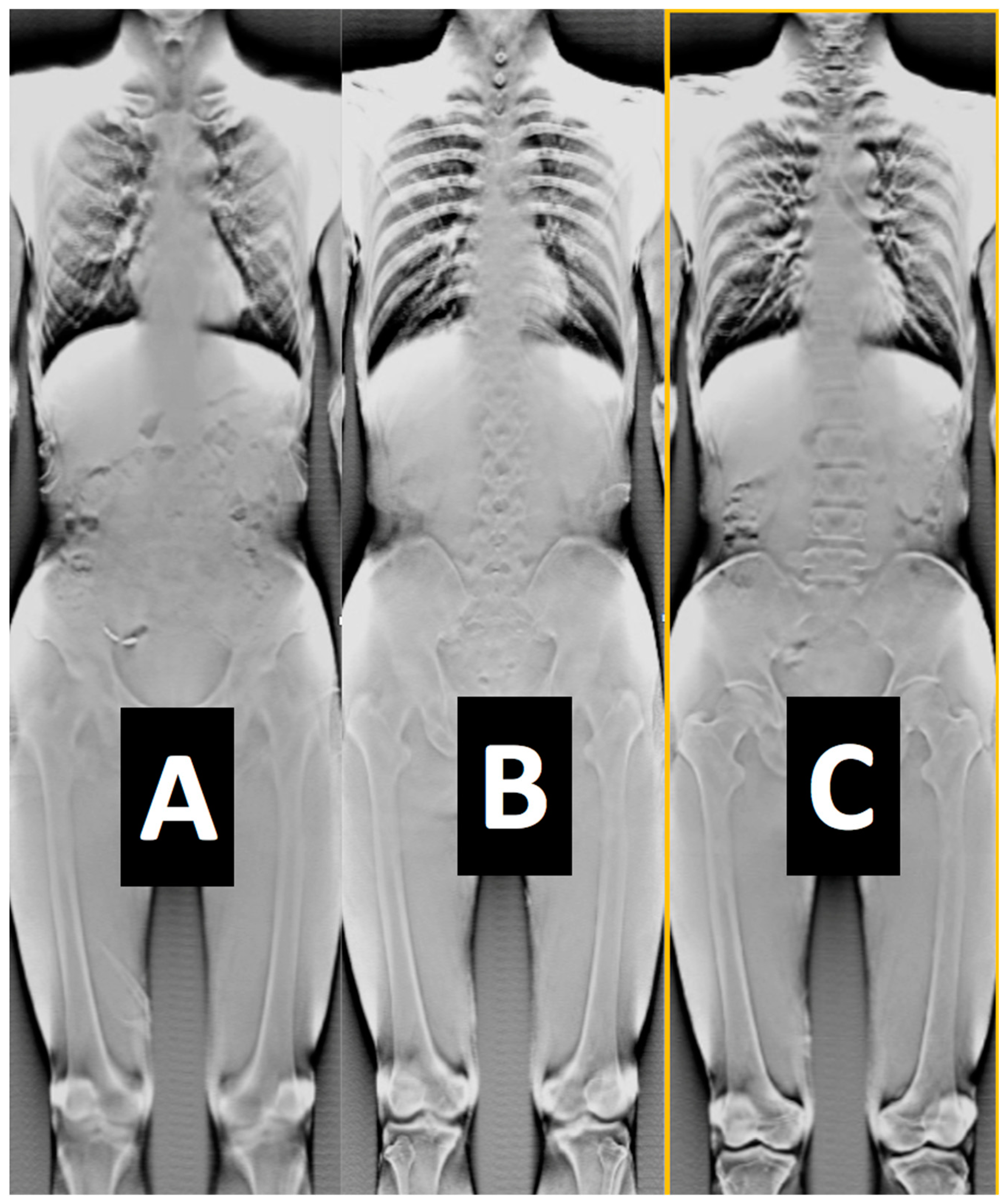 Jimaging 11 00147 g011