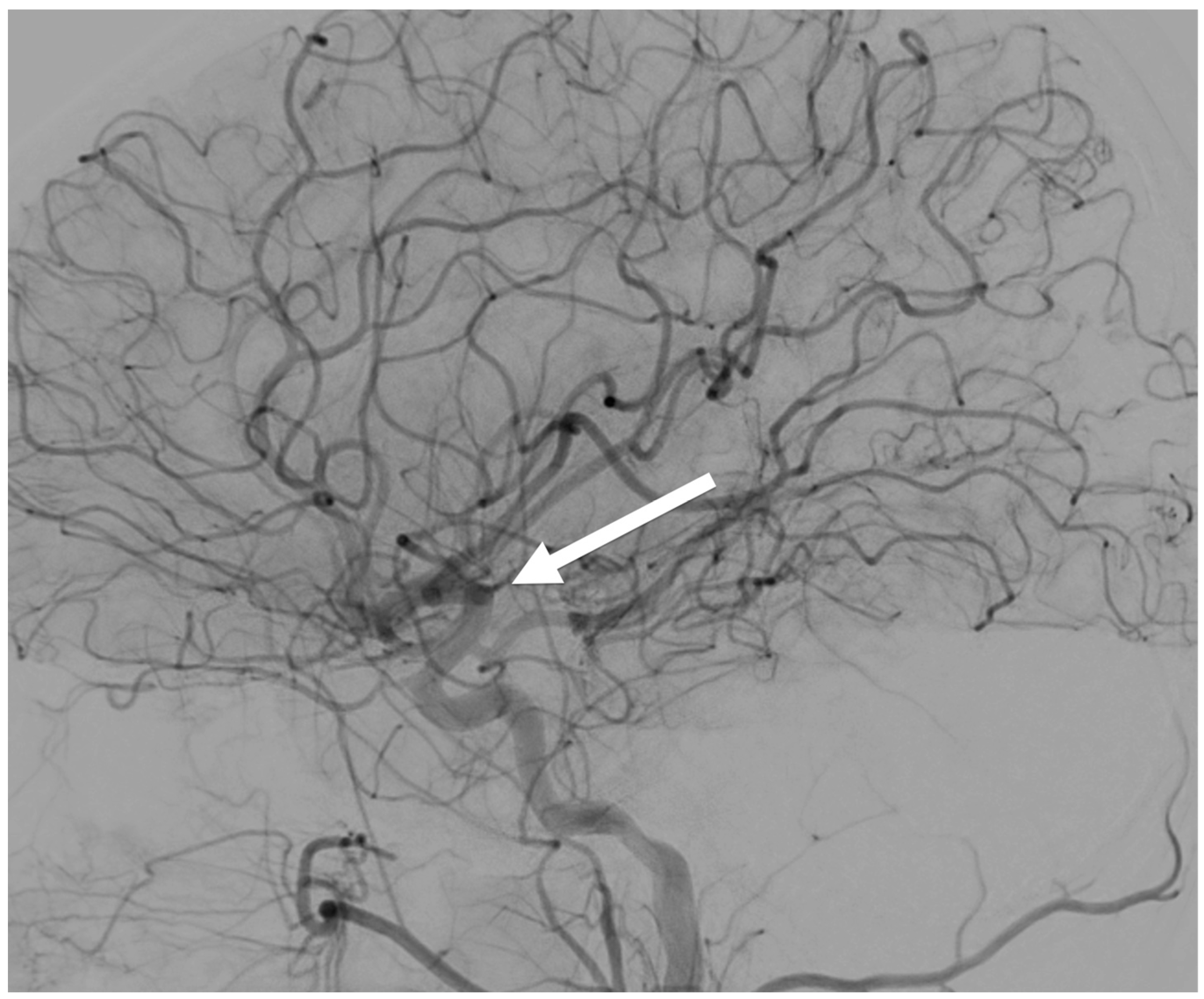 Jimaging 11 00147 g012