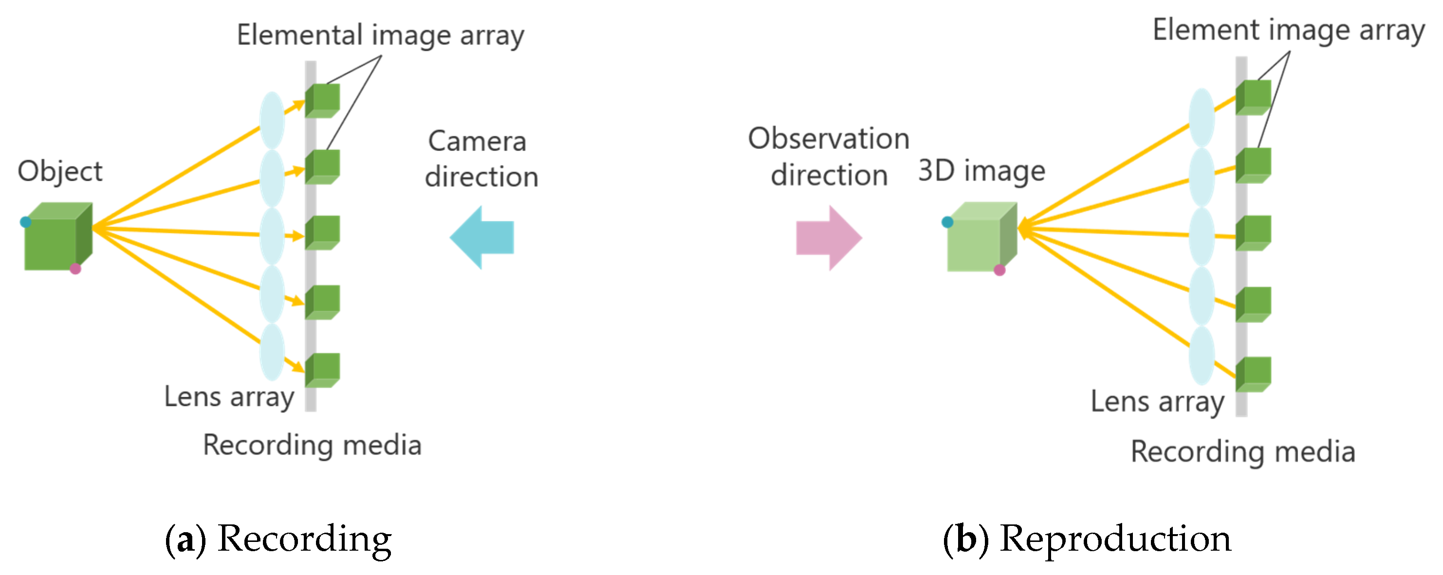 Jimaging 11 00150 g002