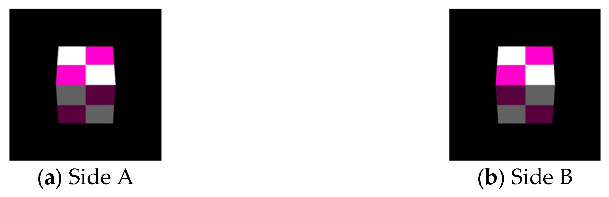 Jimaging 11 00150 g008