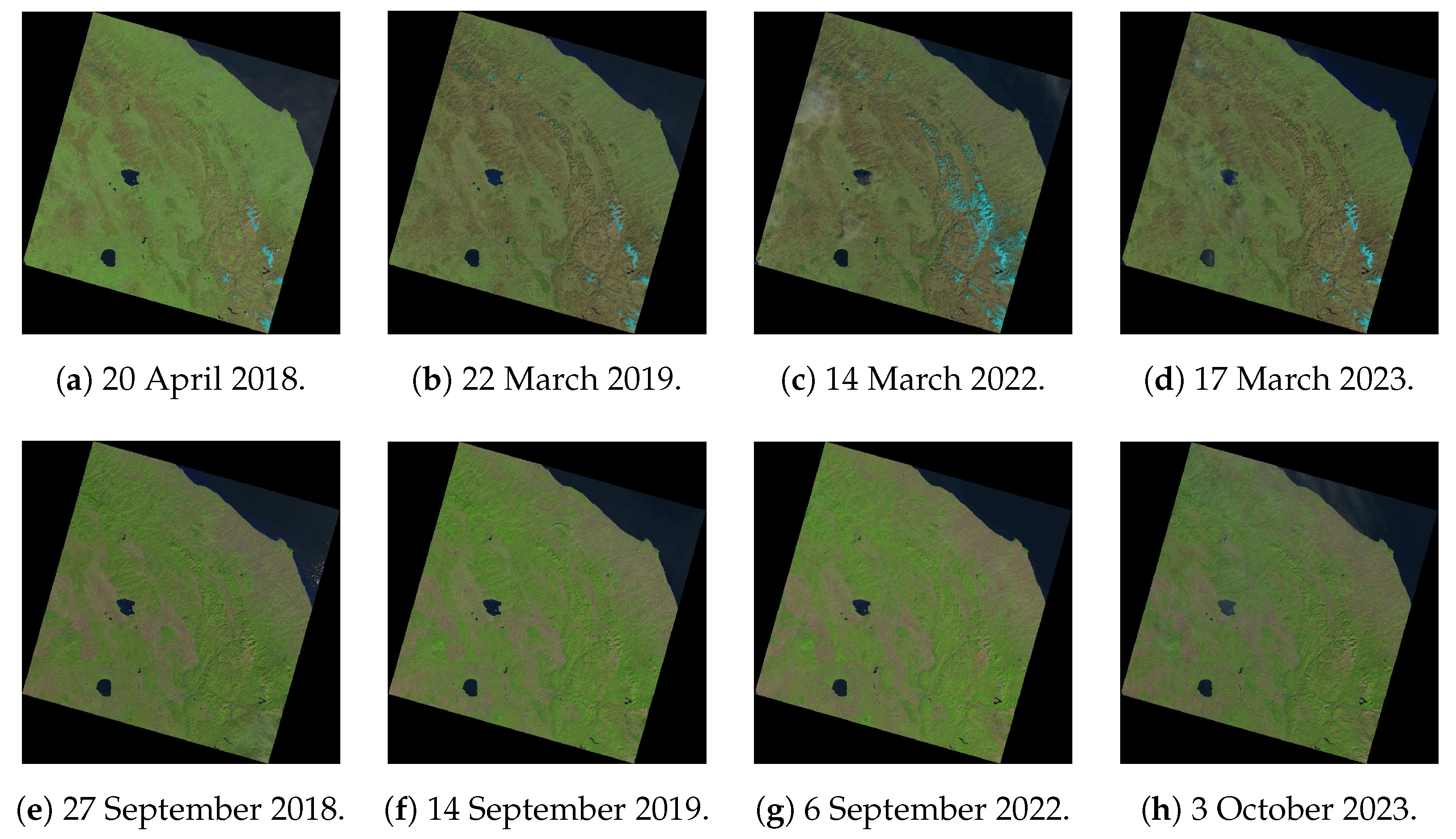 Jimaging 11 00153 g004