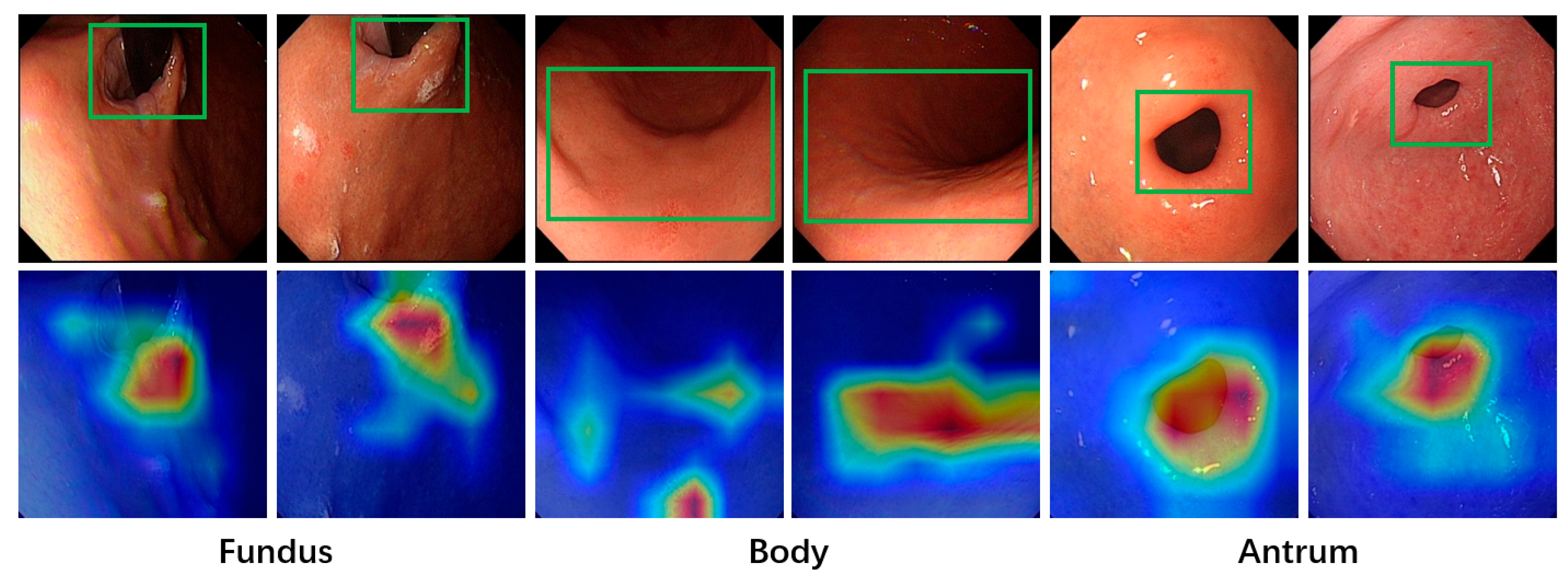 Jimaging 11 00154 g007