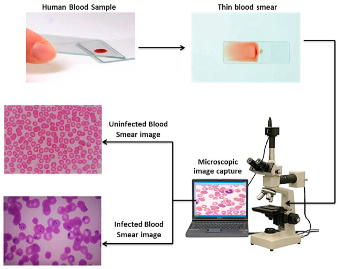 Jimaging 11 00157 g002