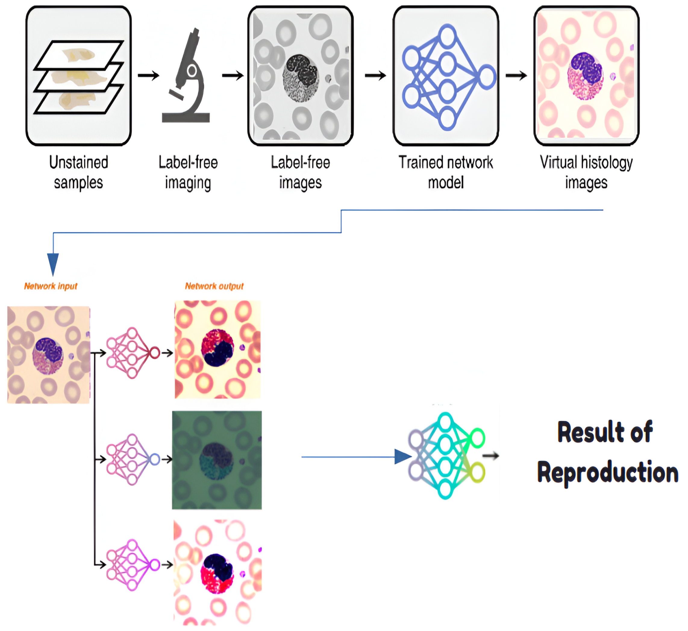 Jimaging 11 00157 g007
