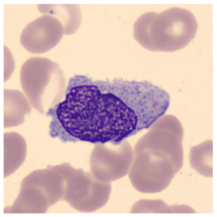 Jimaging 11 00157 g008