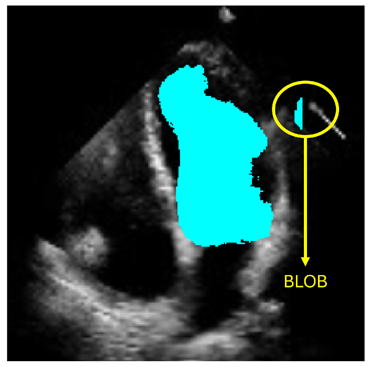 Jimaging 11 00165 g001