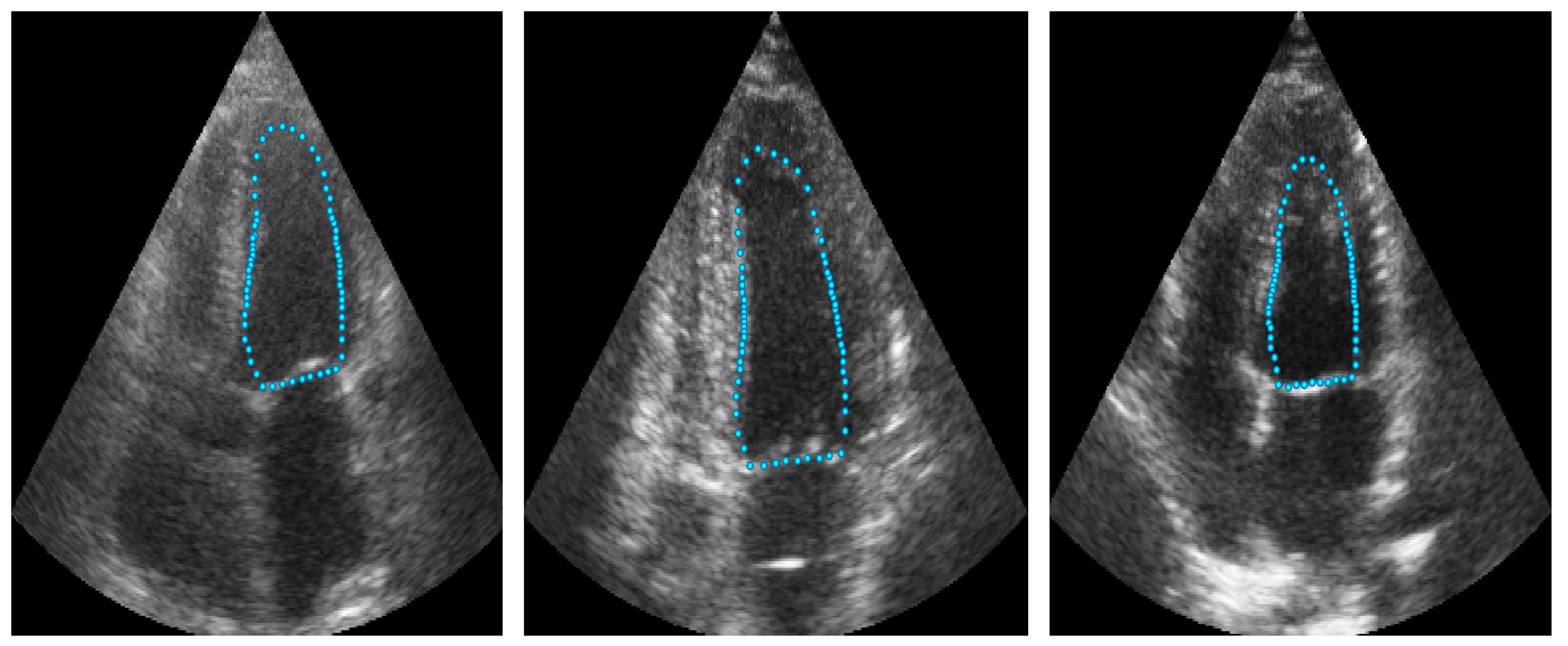 Jimaging 11 00165 g002