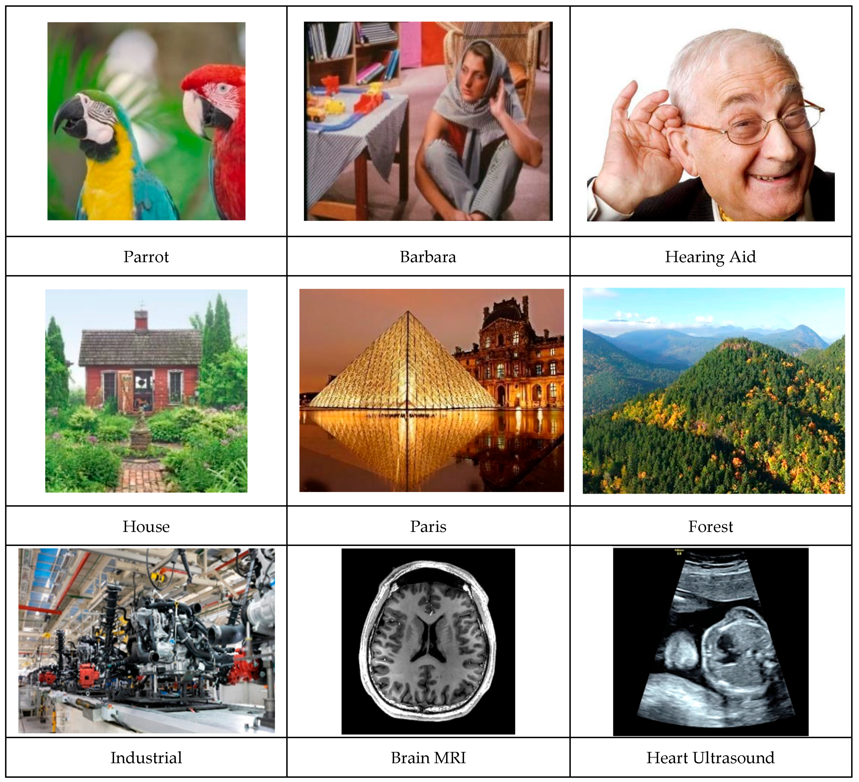 Jimaging 11 00167 g004