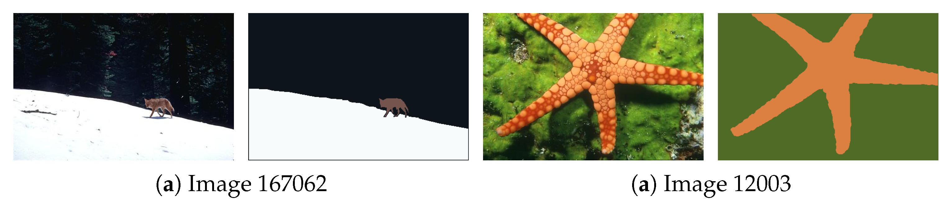 Jimaging 11 00173 g001