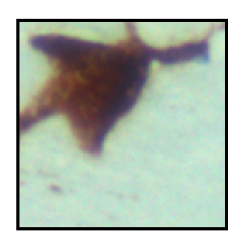 Jimaging 11 00173 g006