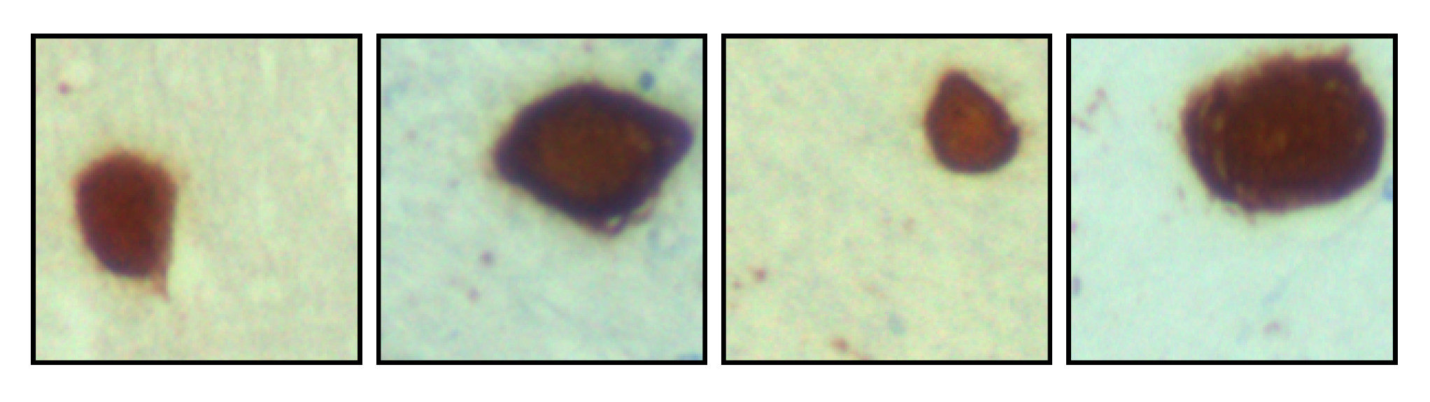 Jimaging 11 00173 g009