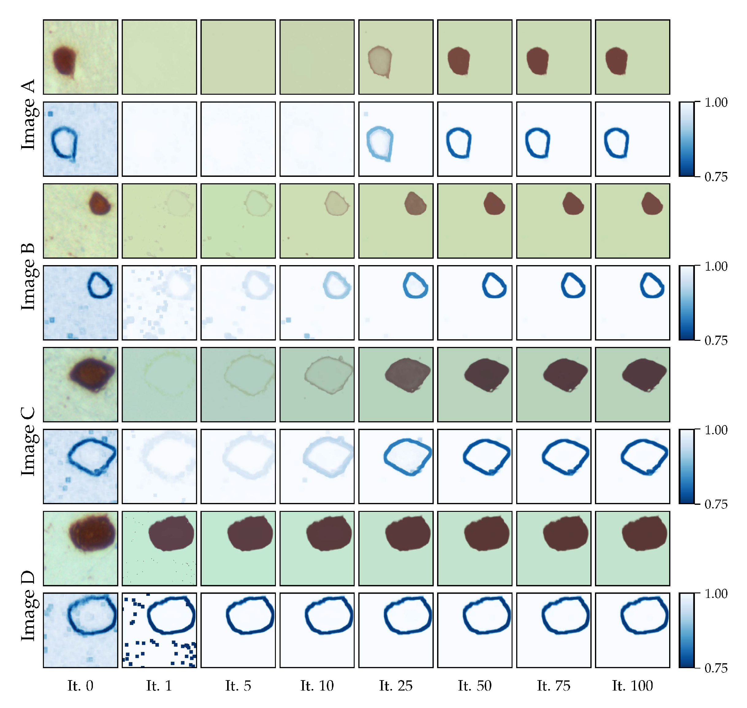 Jimaging 11 00173 g010