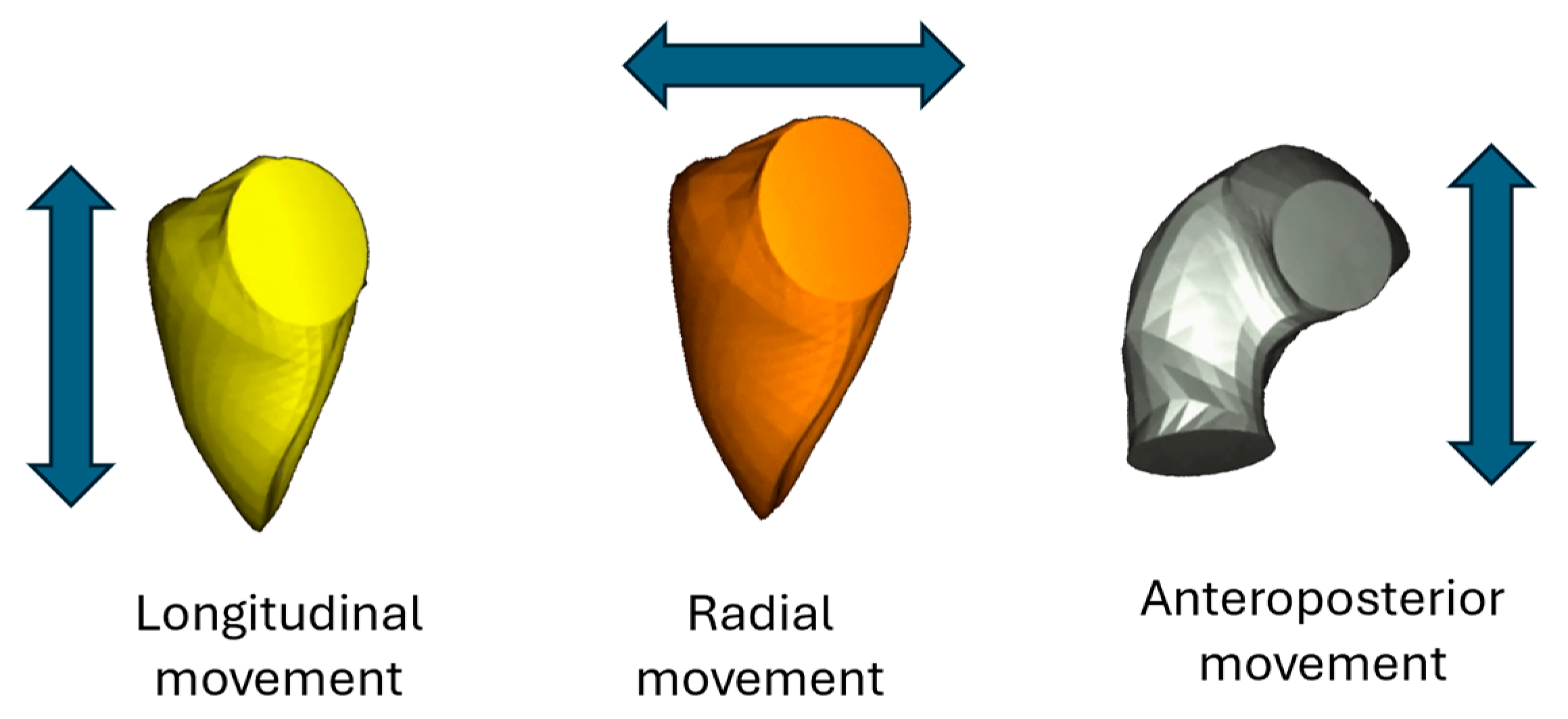 Jimaging 11 00181 g002