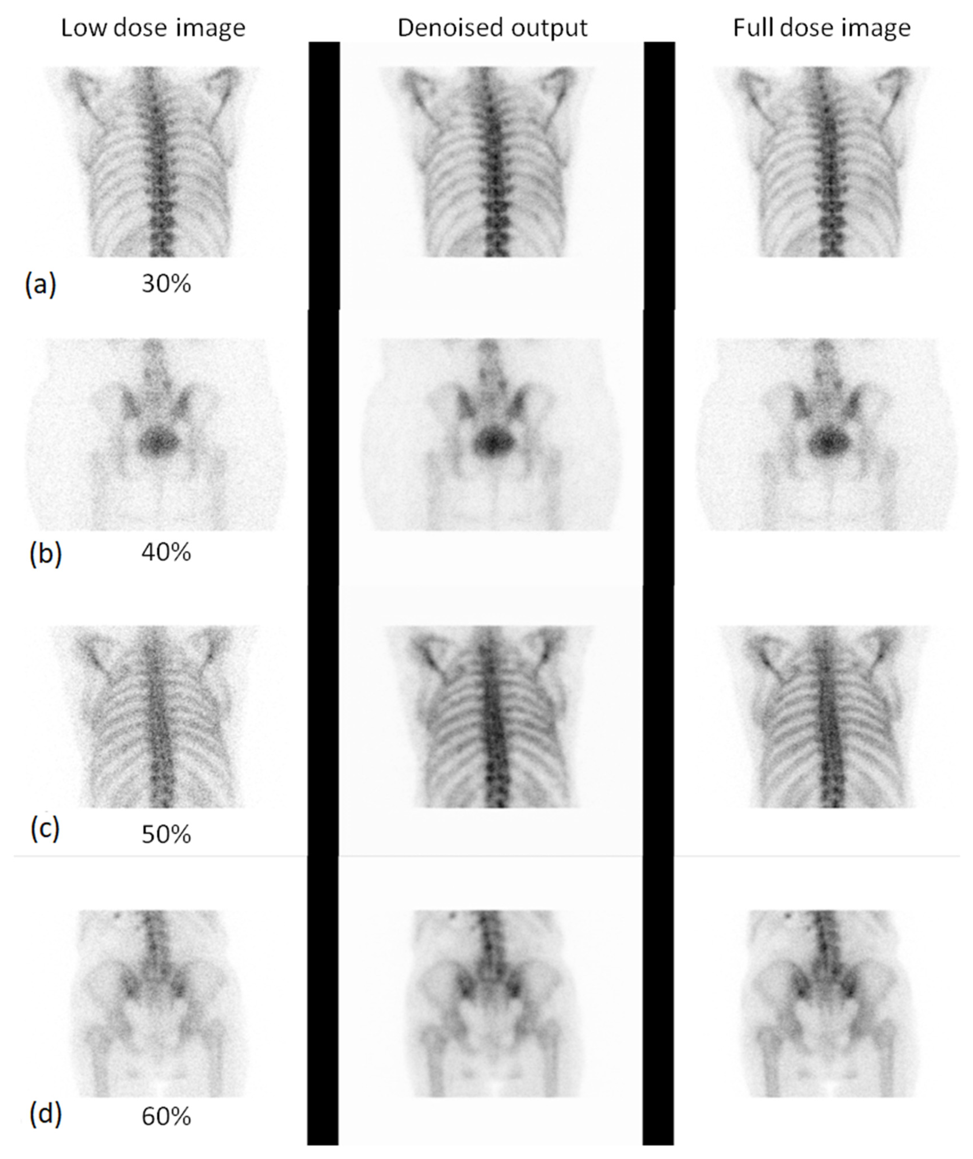 Jimaging 11 00197 g008