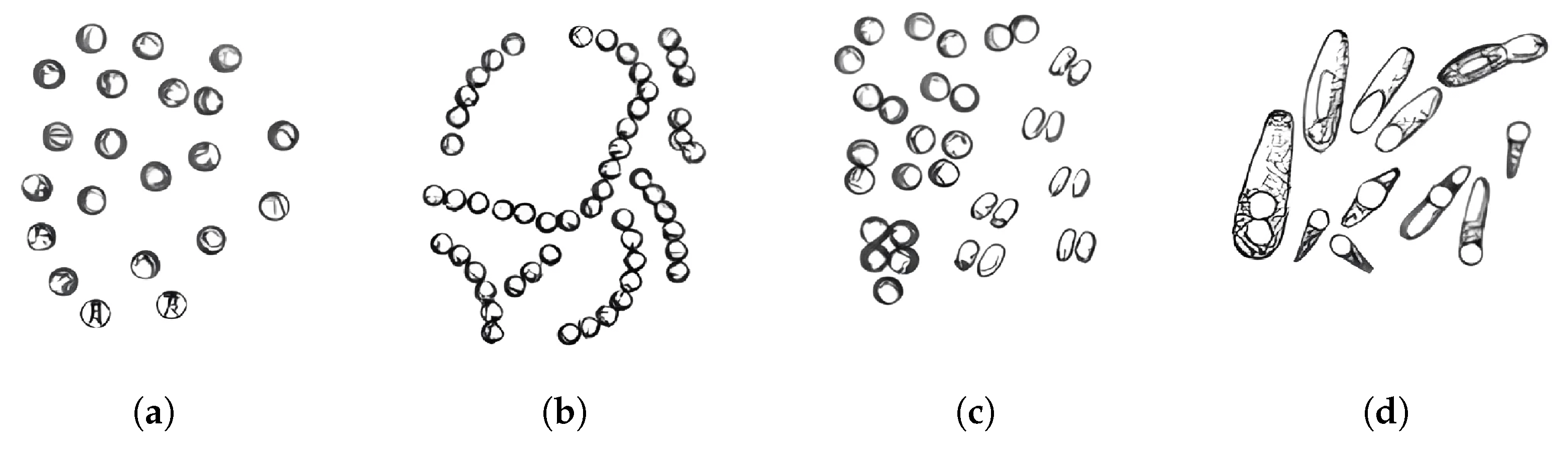 Jimaging 11 00201 g001