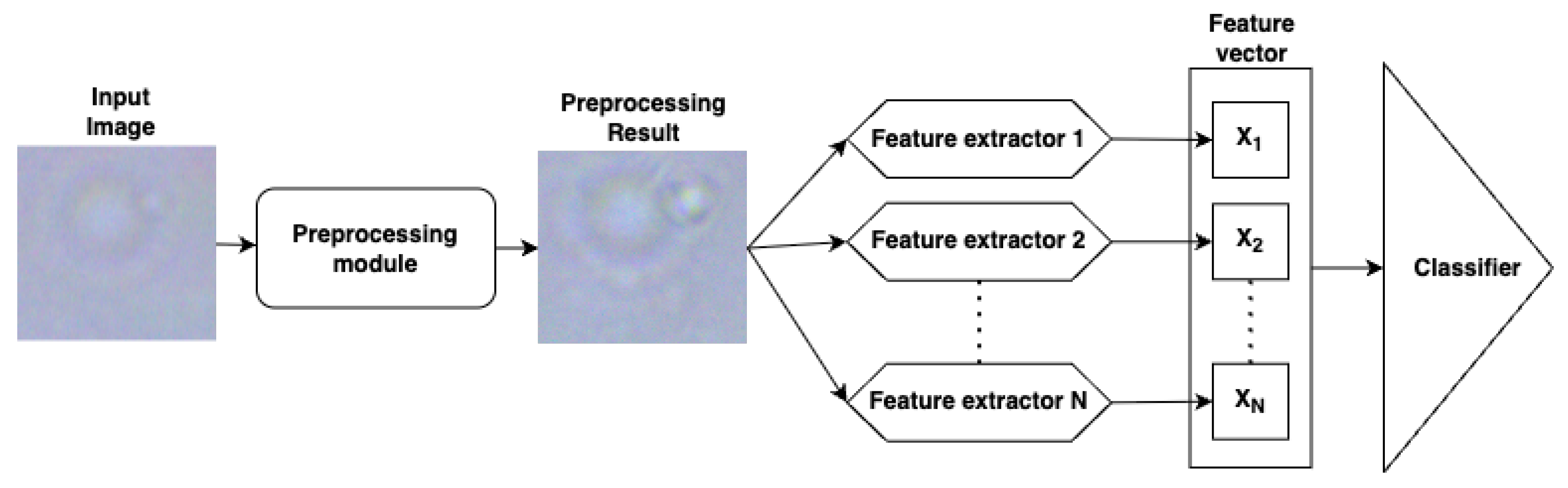 Jimaging 11 00201 g002