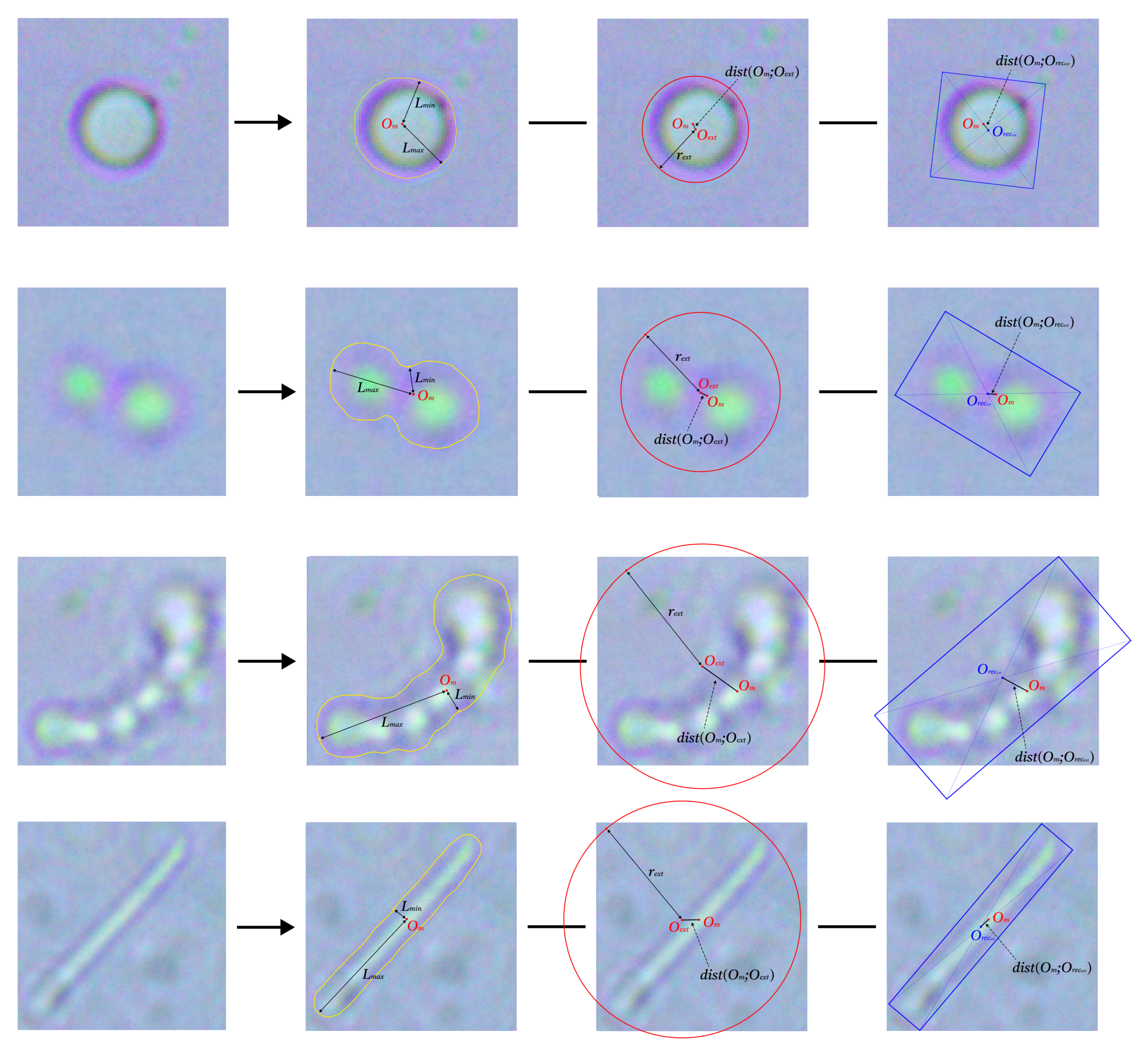 Jimaging 11 00201 g006
