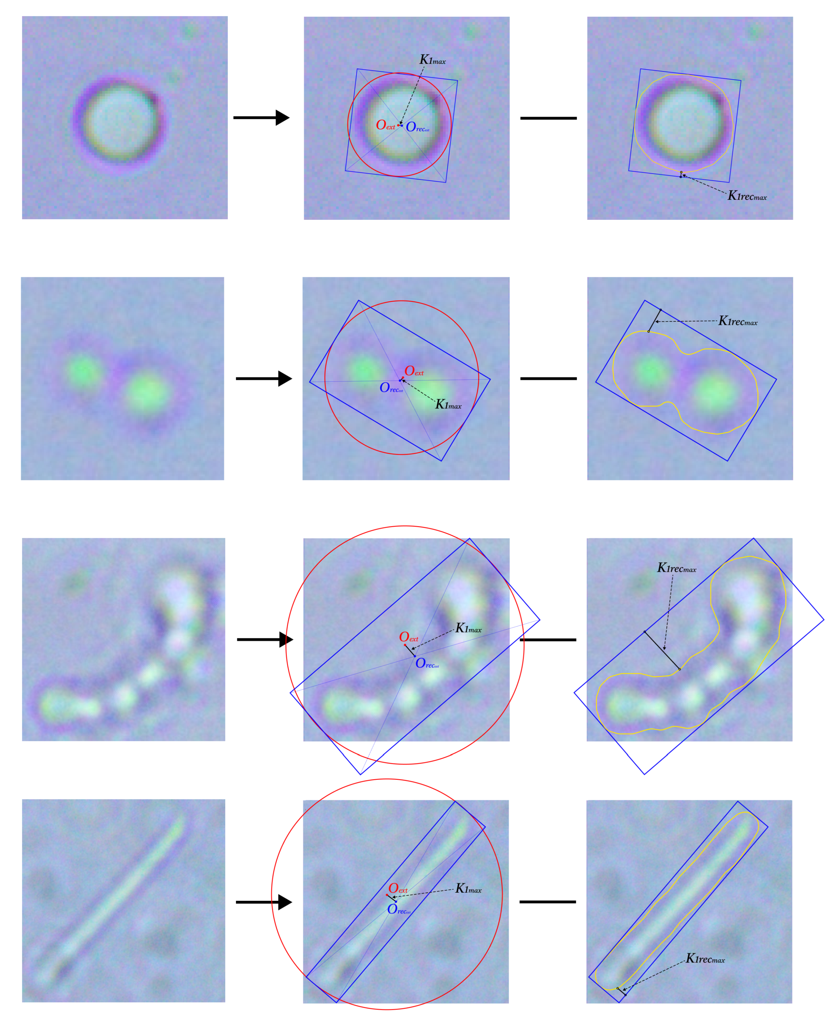 Jimaging 11 00201 g007