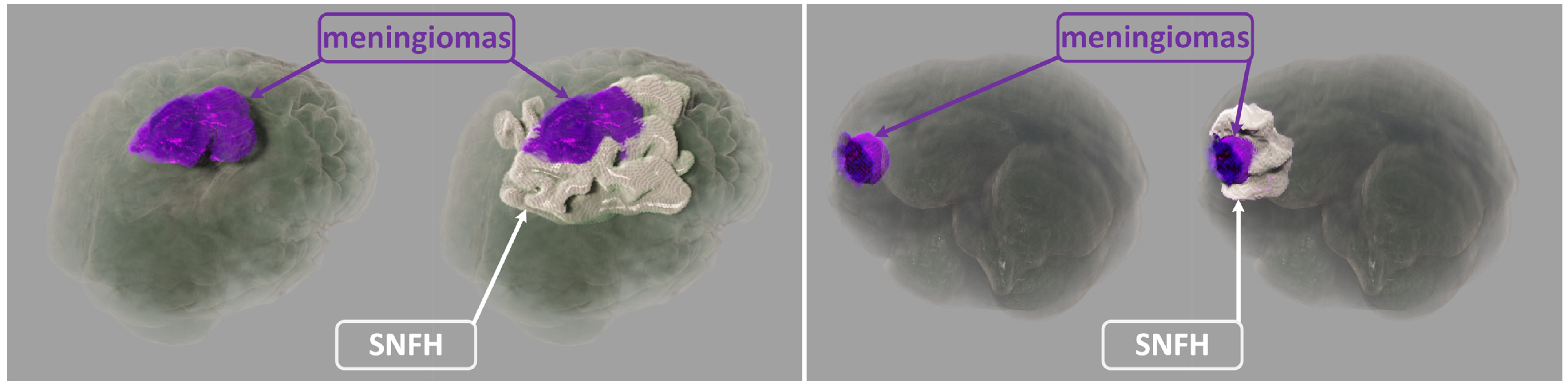 Jimaging 11 00216 g001