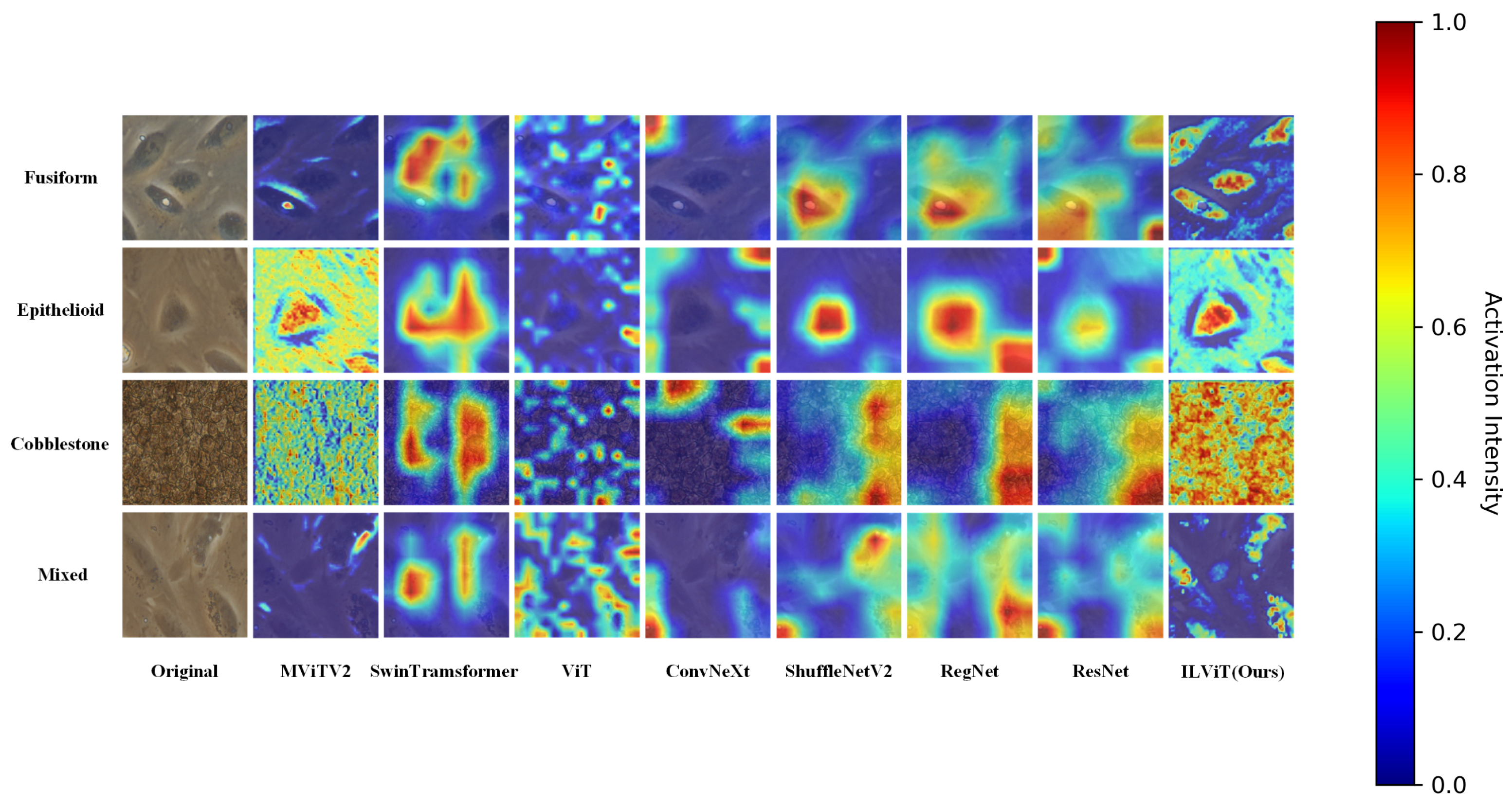 Jimaging 11 00219 g003