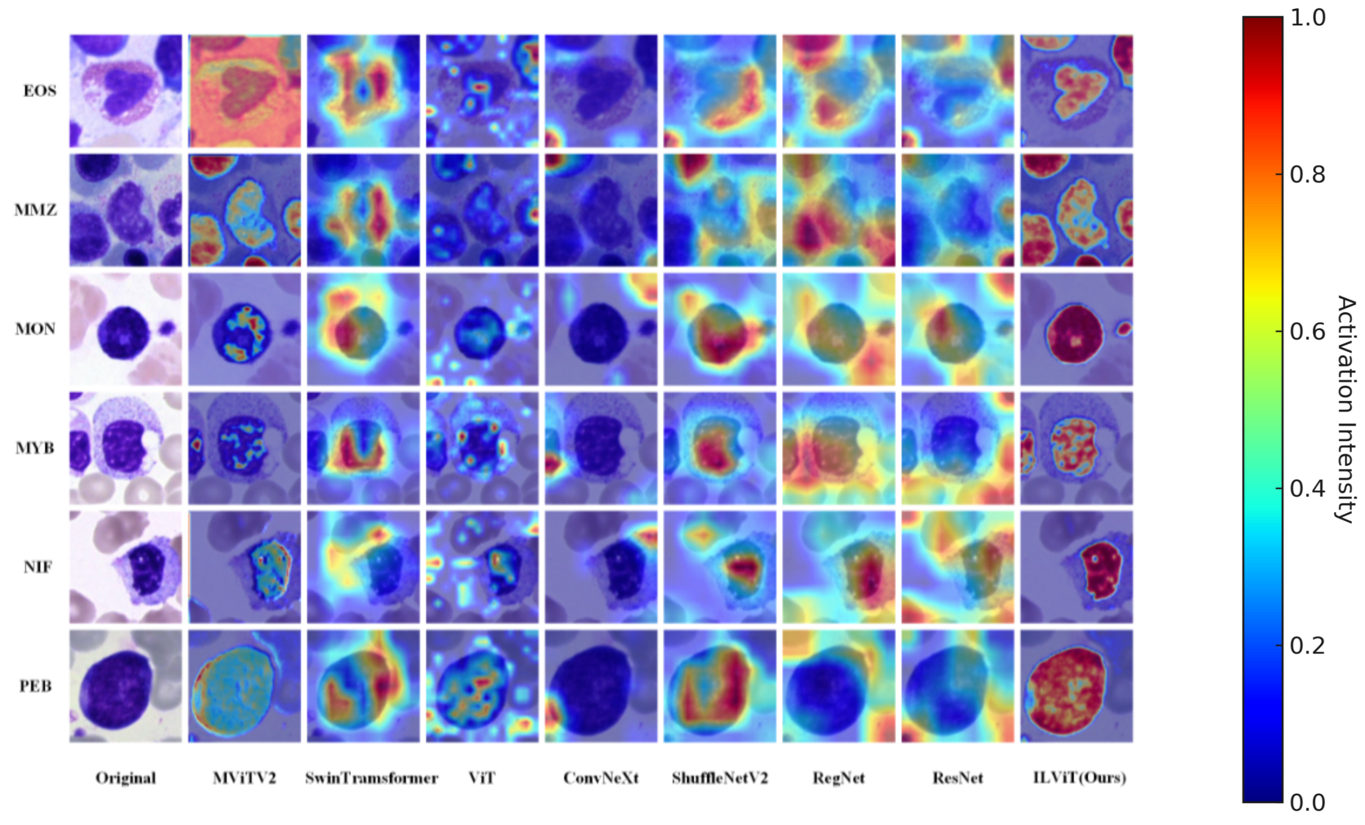 Jimaging 11 00219 g004