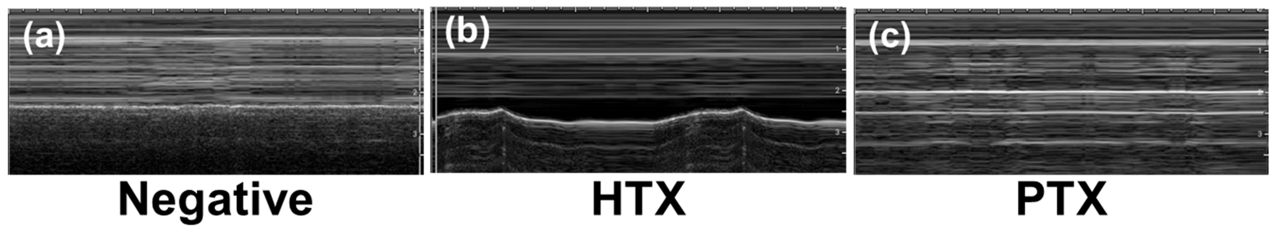 Jimaging 11 00222 g001