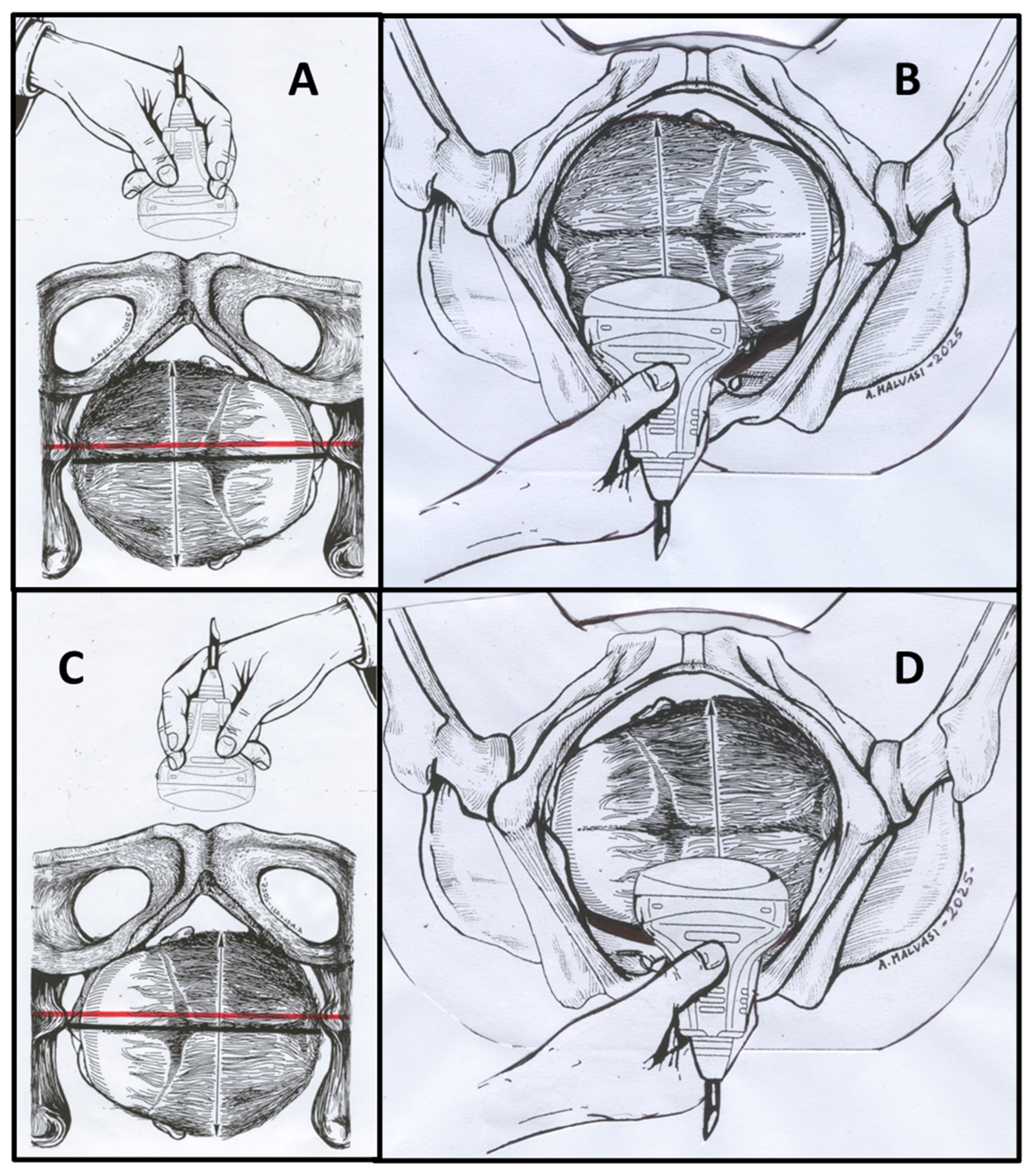 Jimaging 11 00223 g001