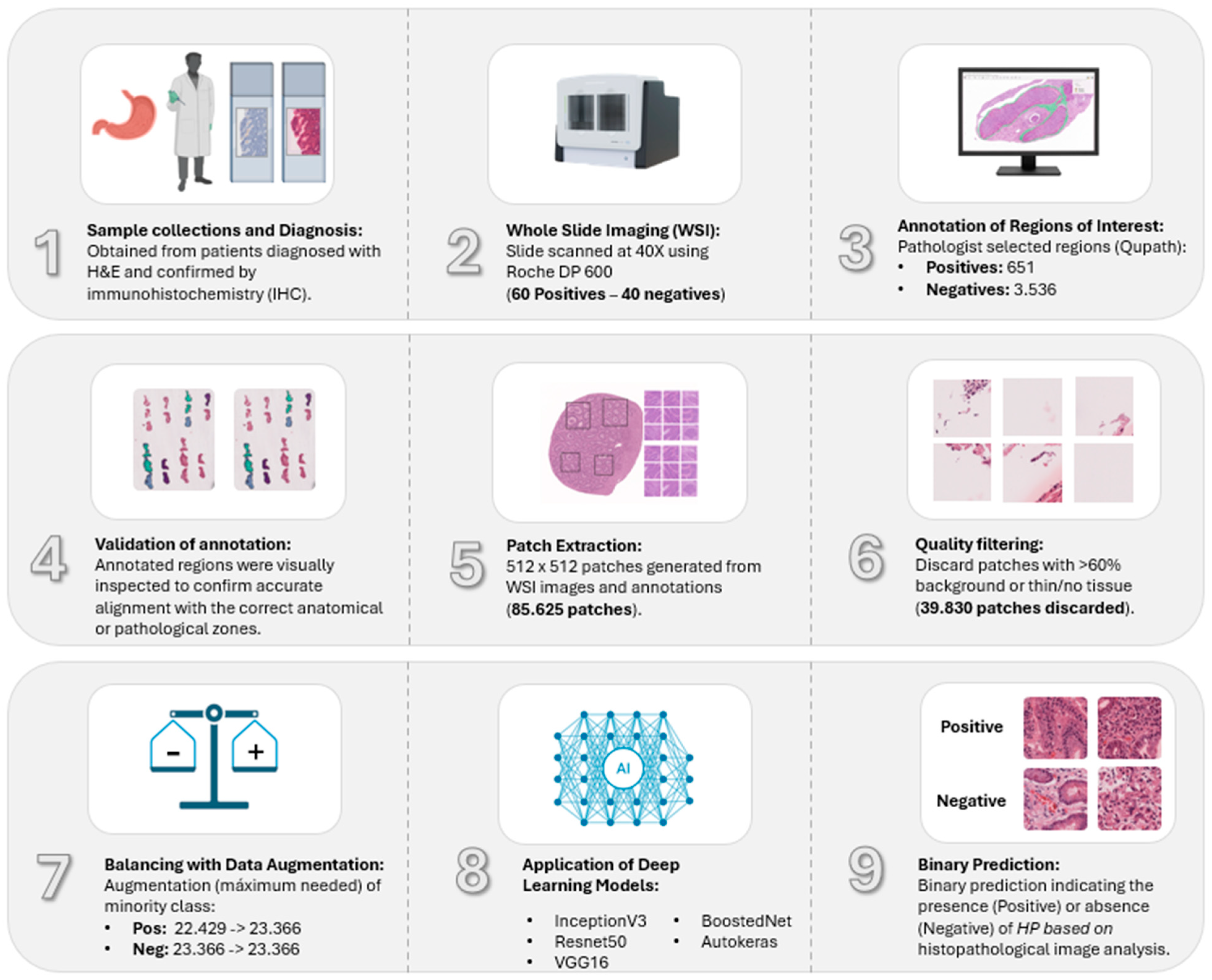 Jimaging 11 00226 g001