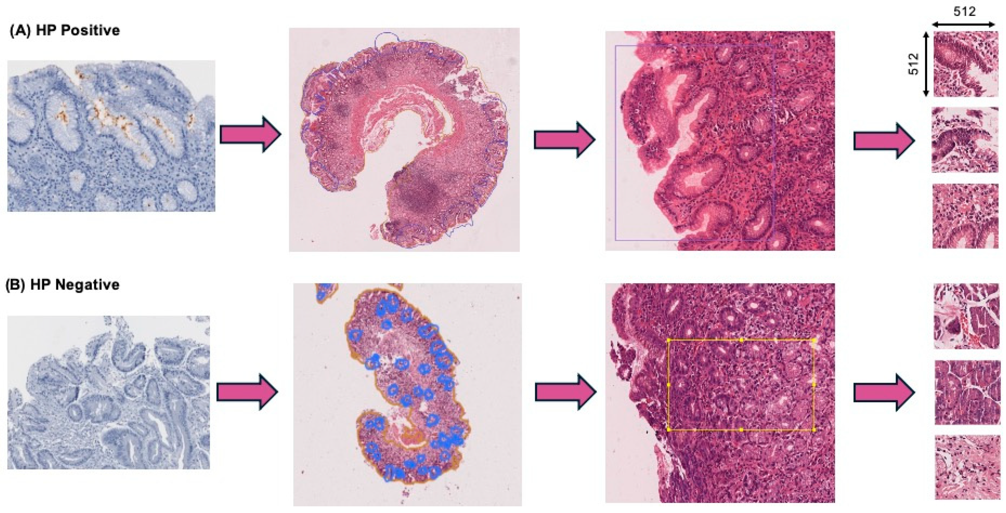 Jimaging 11 00226 g002