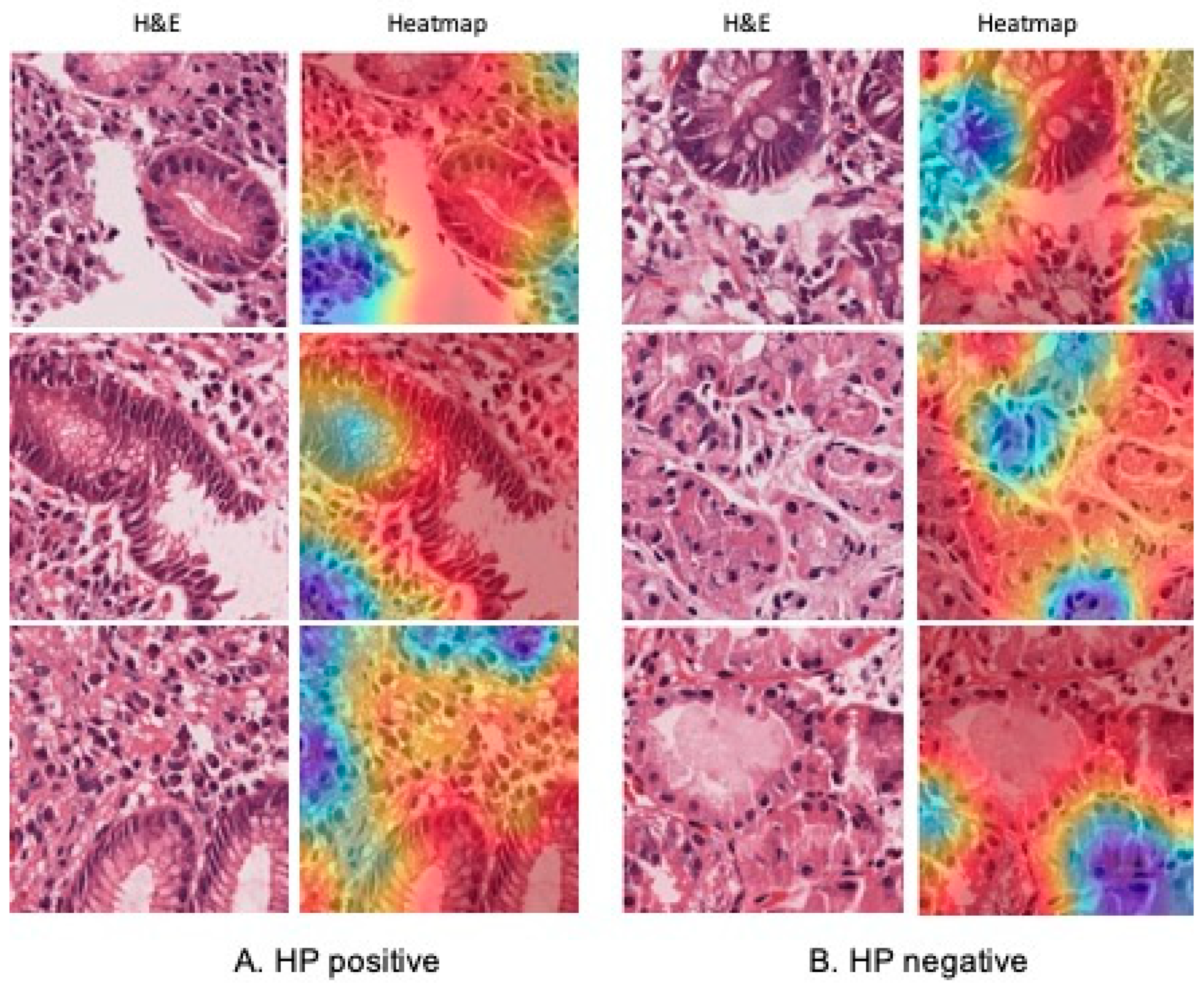 Jimaging 11 00226 g004