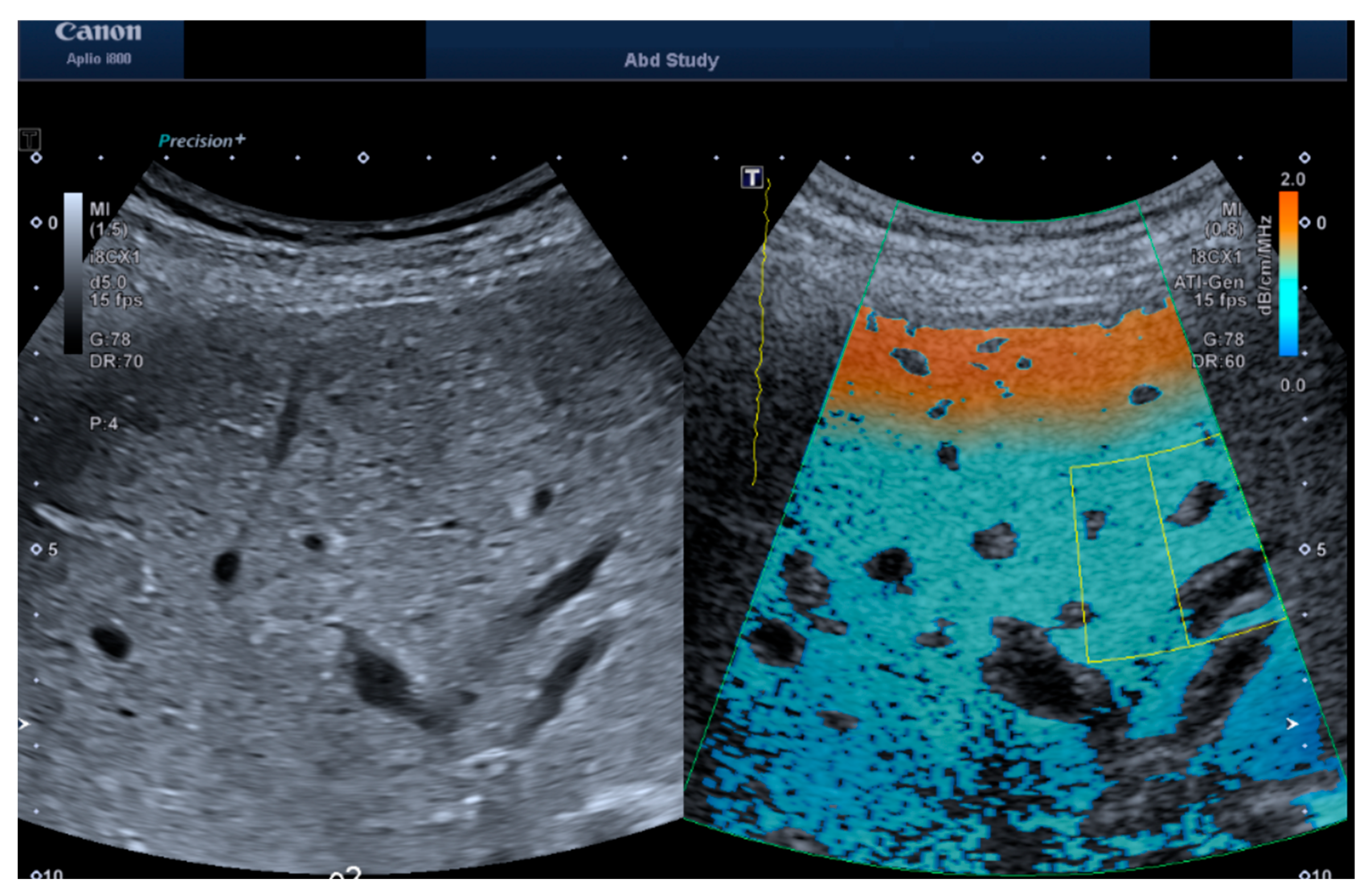 Jimaging 11 00229 g001