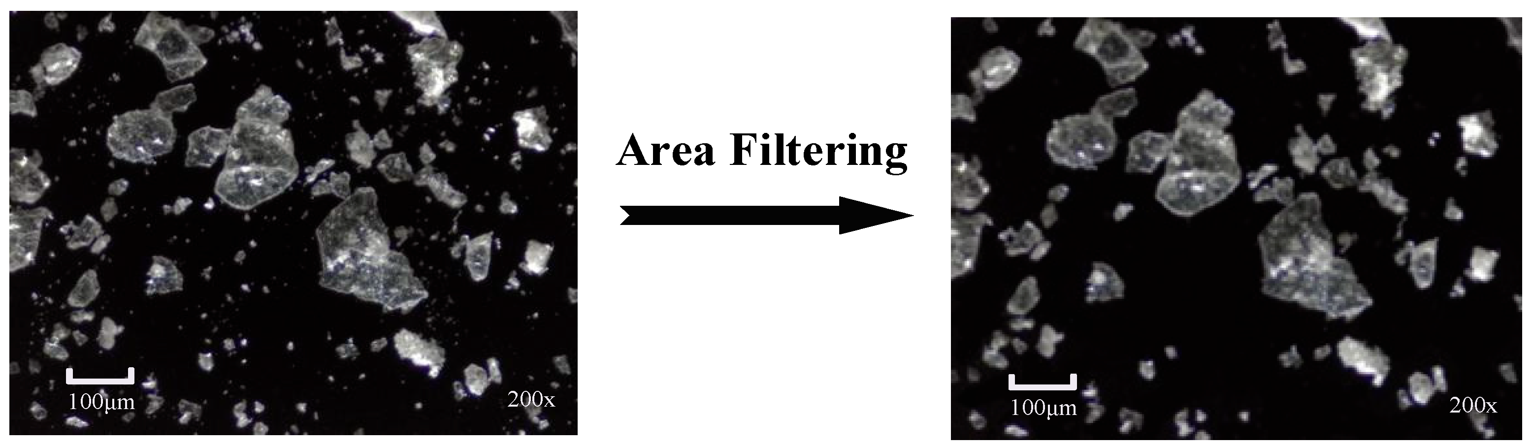 Jimaging 11 00230 g008