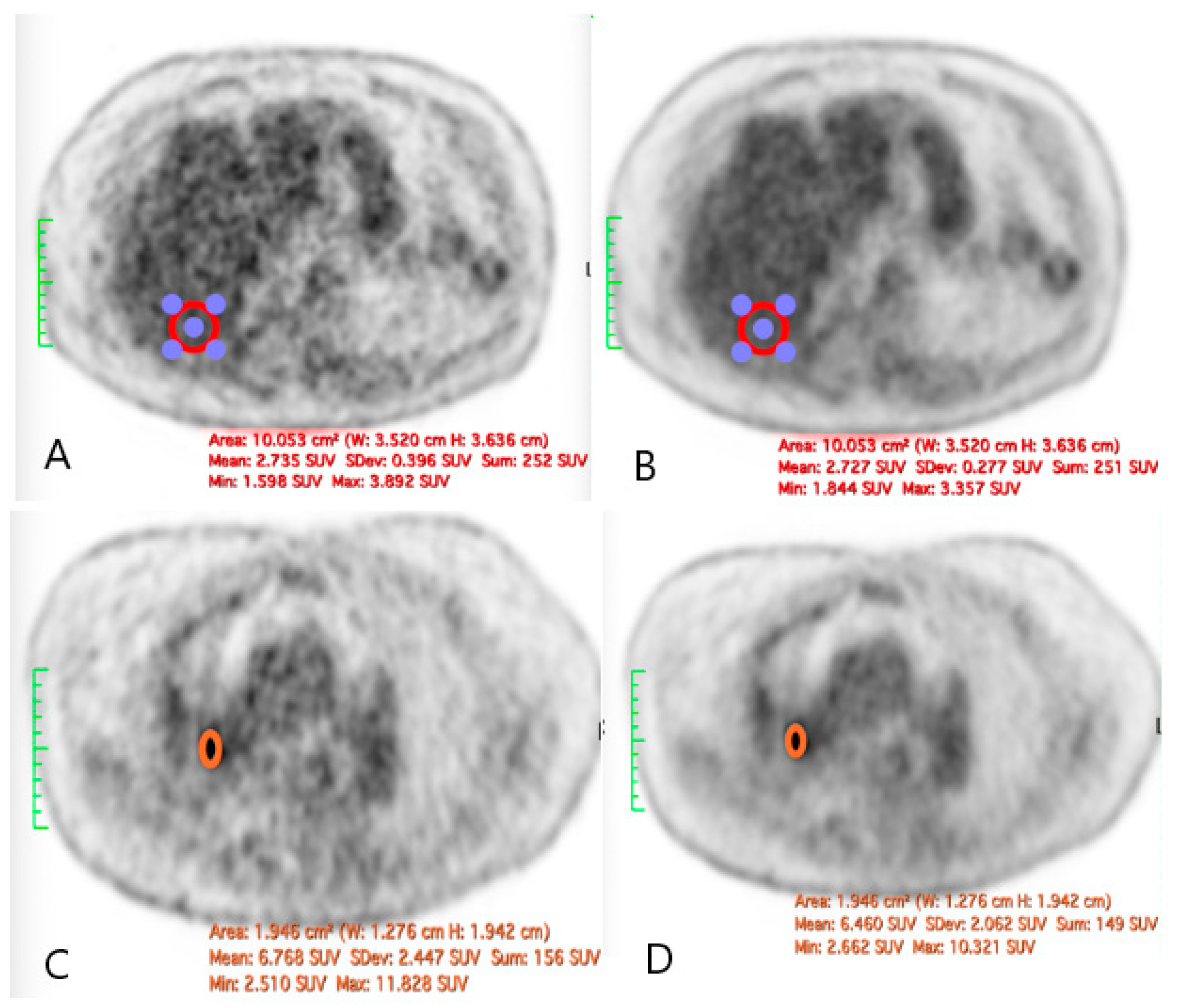 Jimaging 11 00234 g005