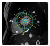 Jimaging 11 00244 i001