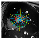 Jimaging 11 00244 i004