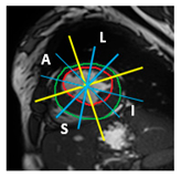 Jimaging 11 00244 i007