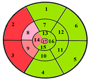 Jimaging 11 00244 i010