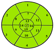 Jimaging 11 00244 i012