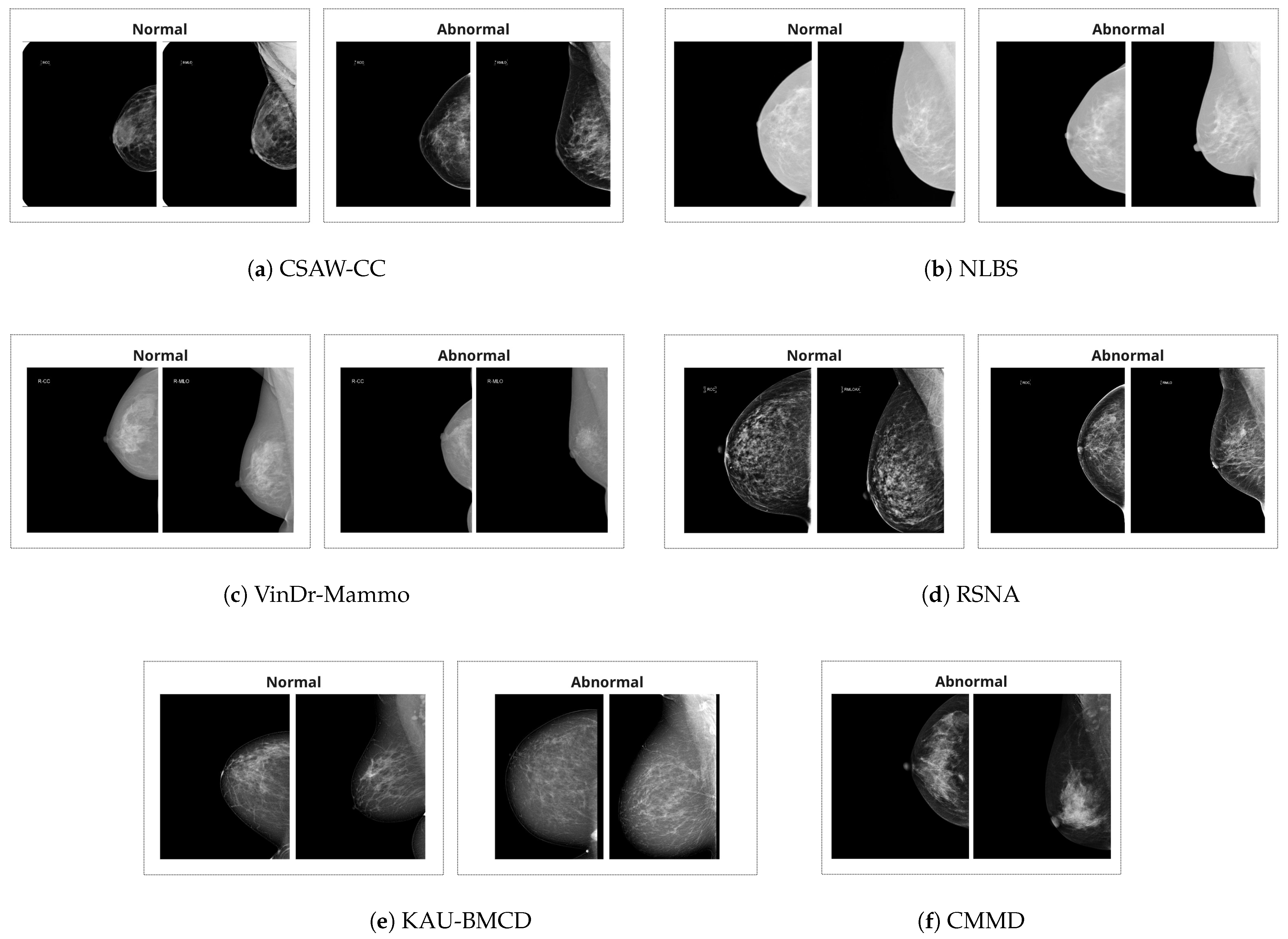 Jimaging 11 00247 g001